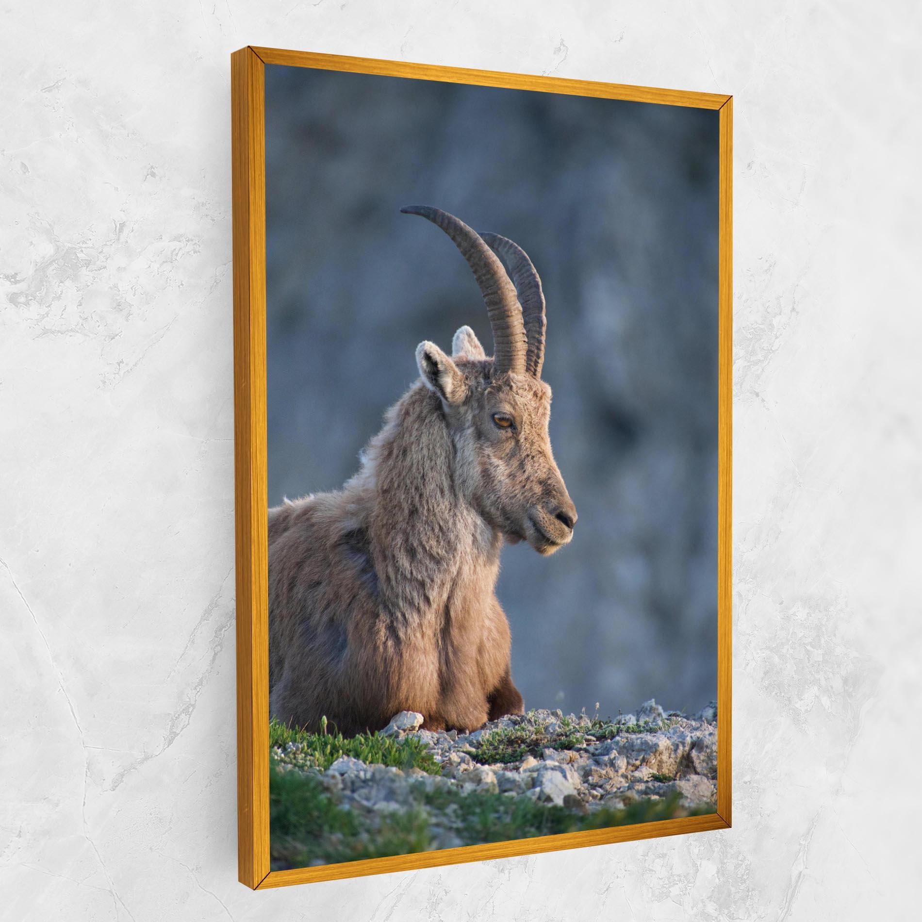 Vászonkép Mountain Goat mockup 1