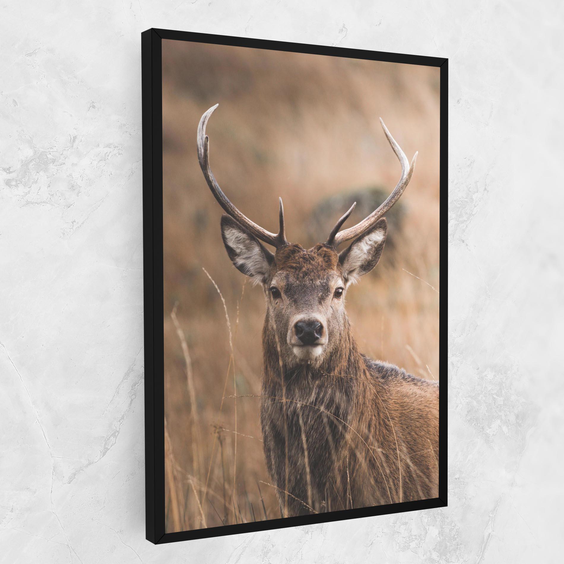 Vászonkép Majestic Deer mockup 1