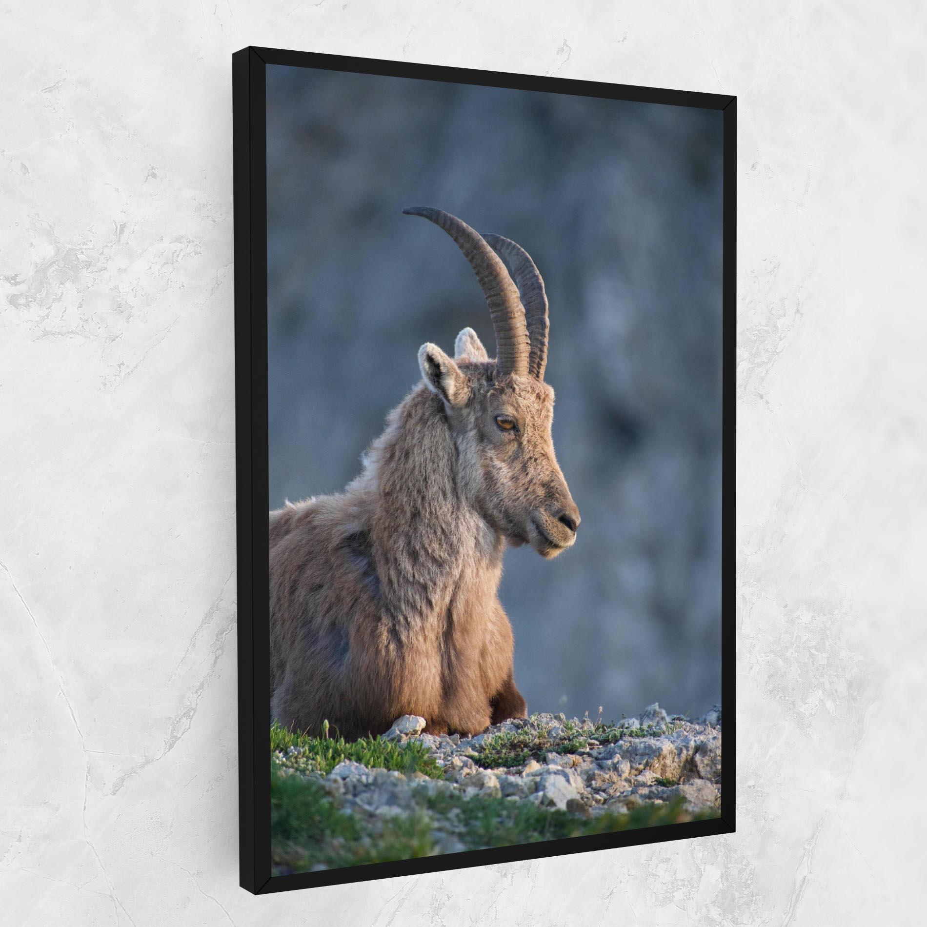Vászonkép Mountain Goat mockup 1