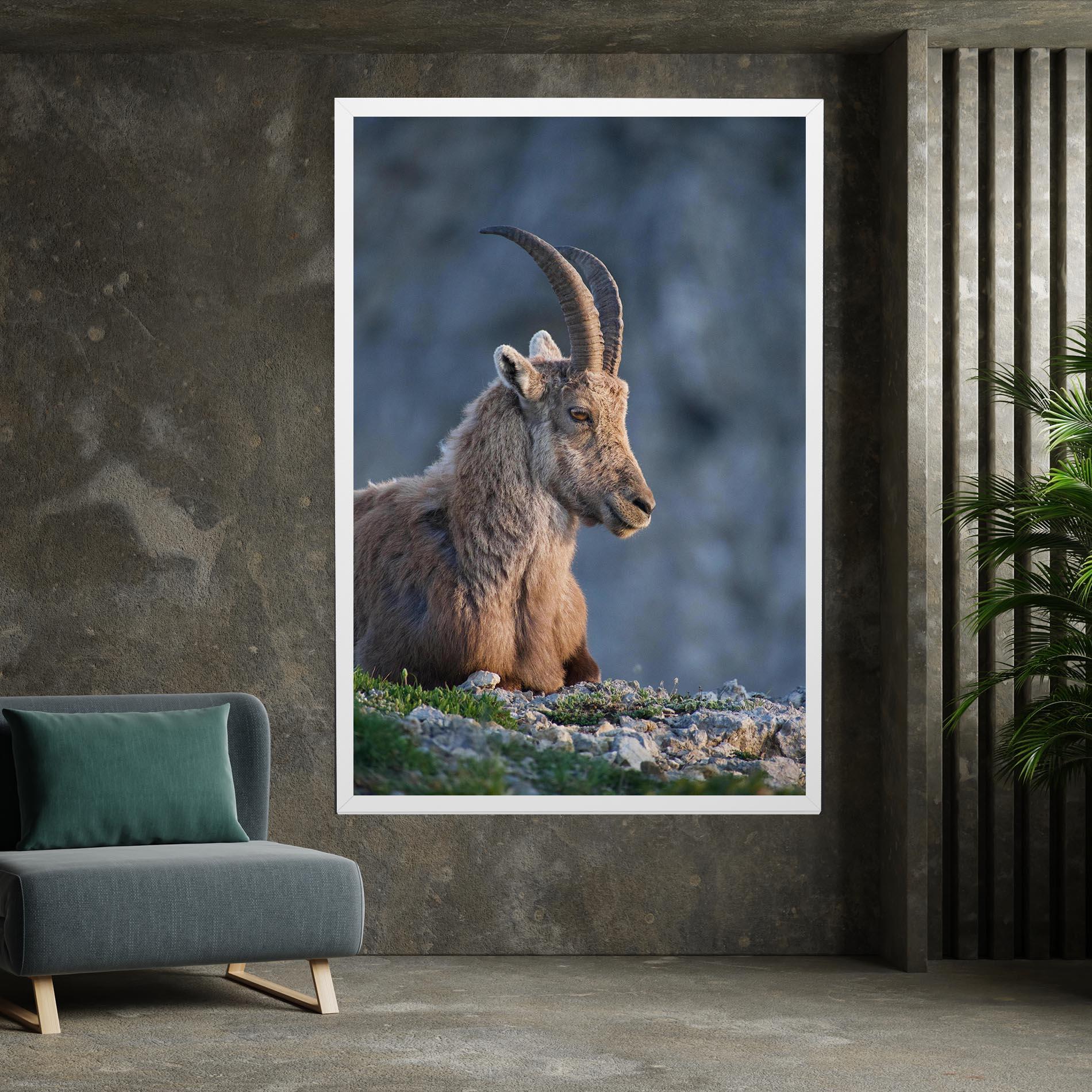 Vászonkép Mountain Goat mockup 7