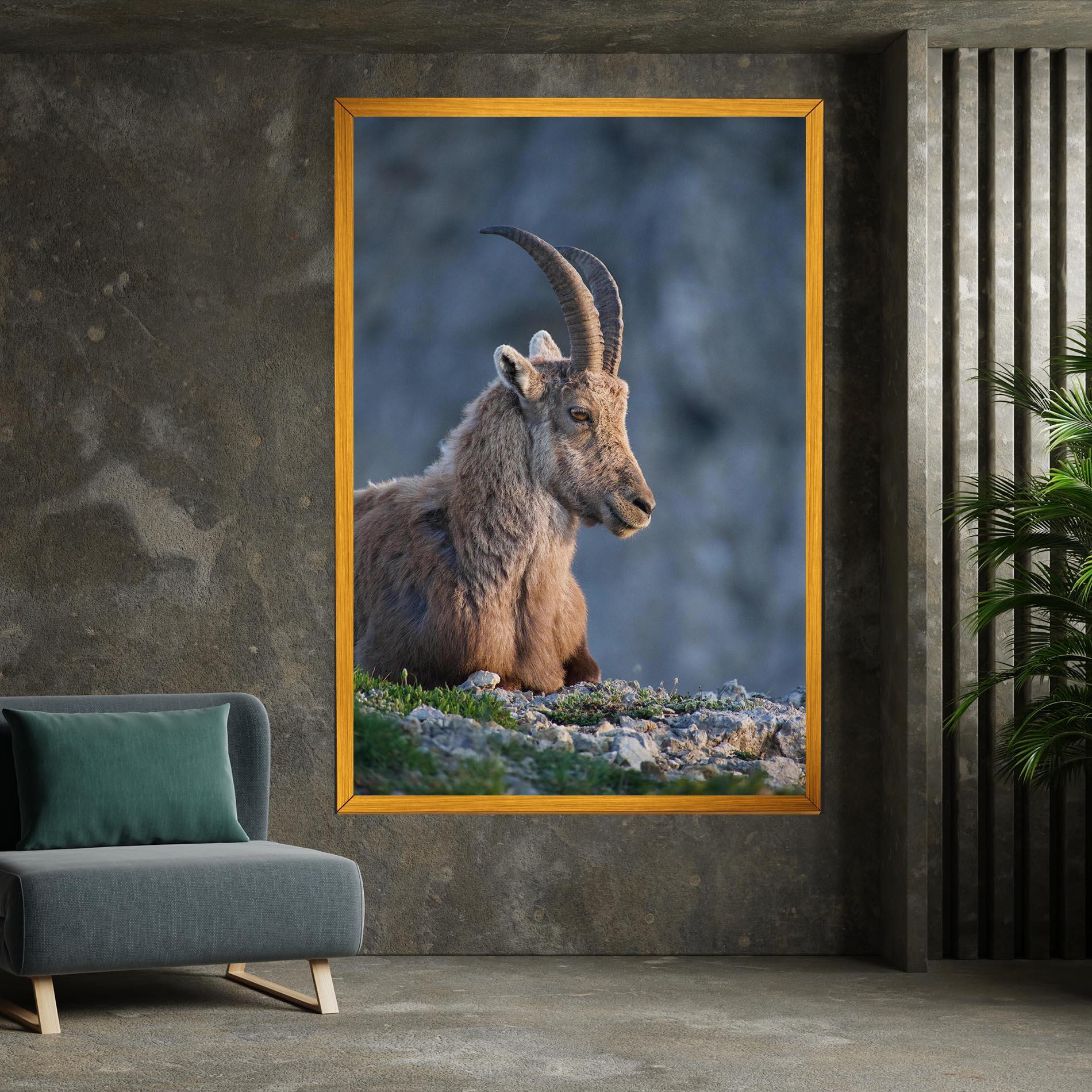 Vászonkép Mountain Goat mockup 7