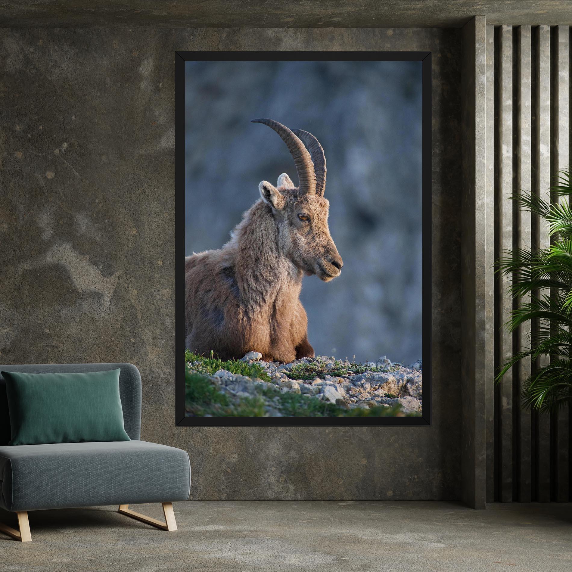 Vászonkép Mountain Goat mockup 7
