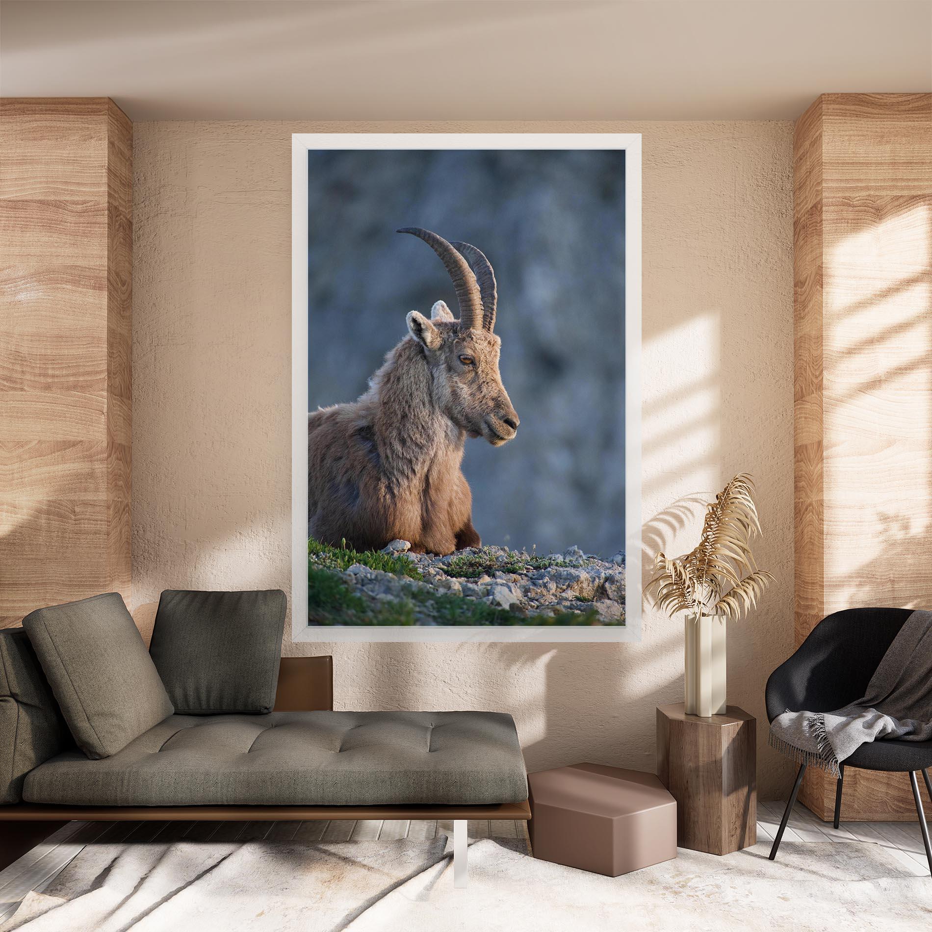 Vászonkép Mountain Goat mockup 8