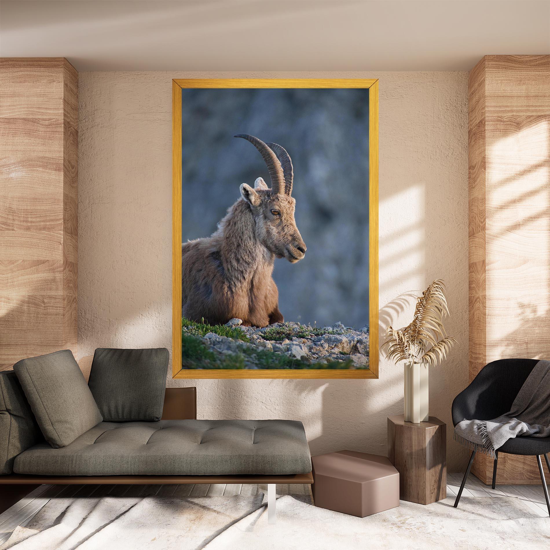 Vászonkép Mountain Goat mockup 8