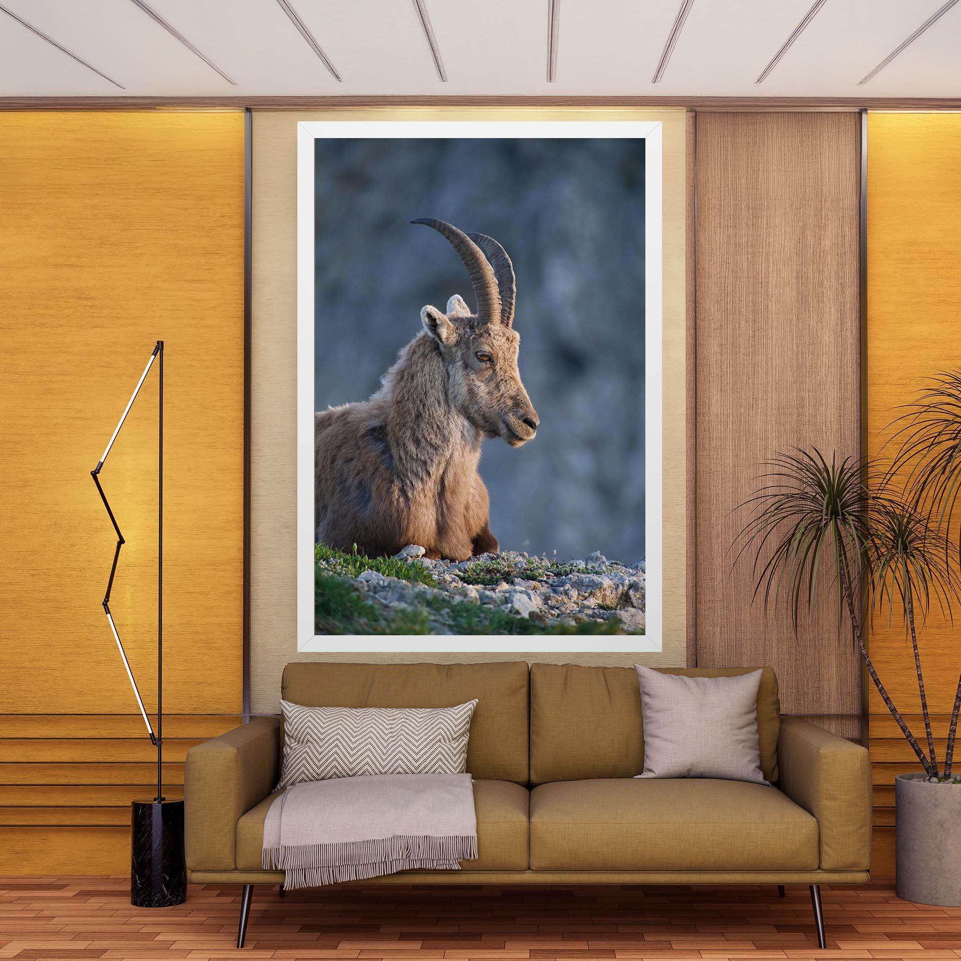 Mountain Goat mockup 9