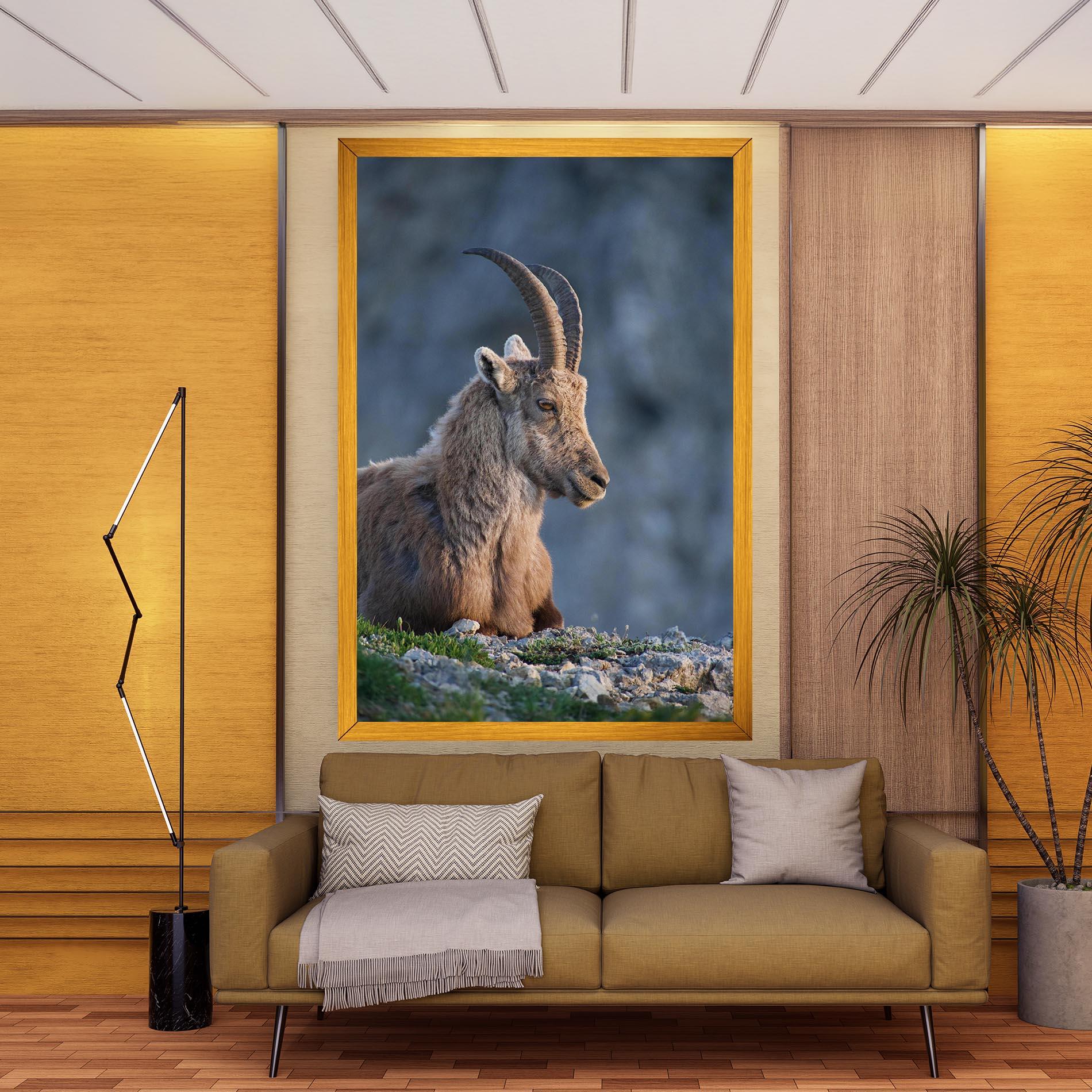 Vászonkép Mountain Goat mockup 9