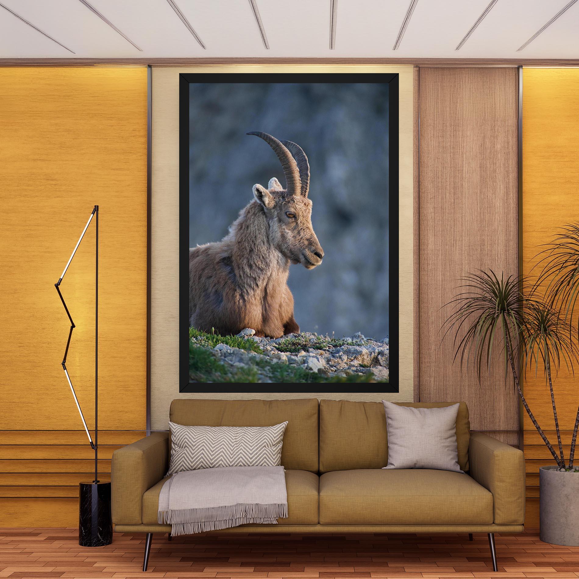 Vászonkép Mountain Goat mockup 9