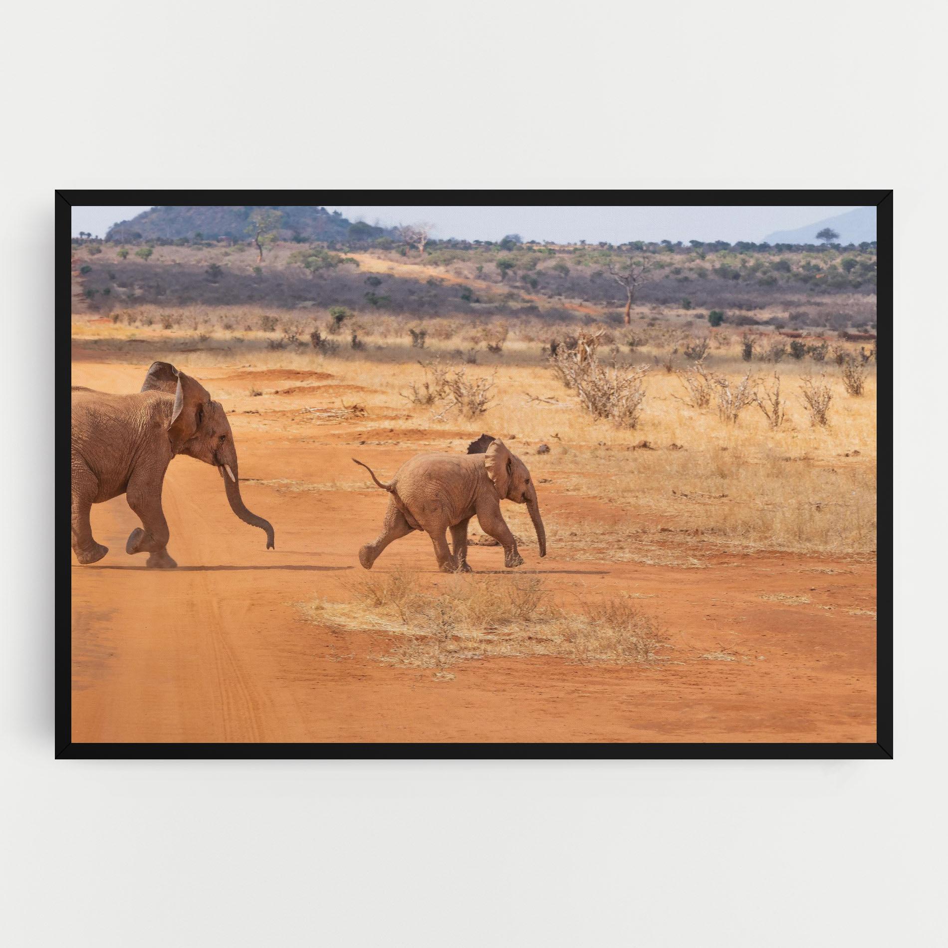 Vászonkép Desert Safari mockup 0