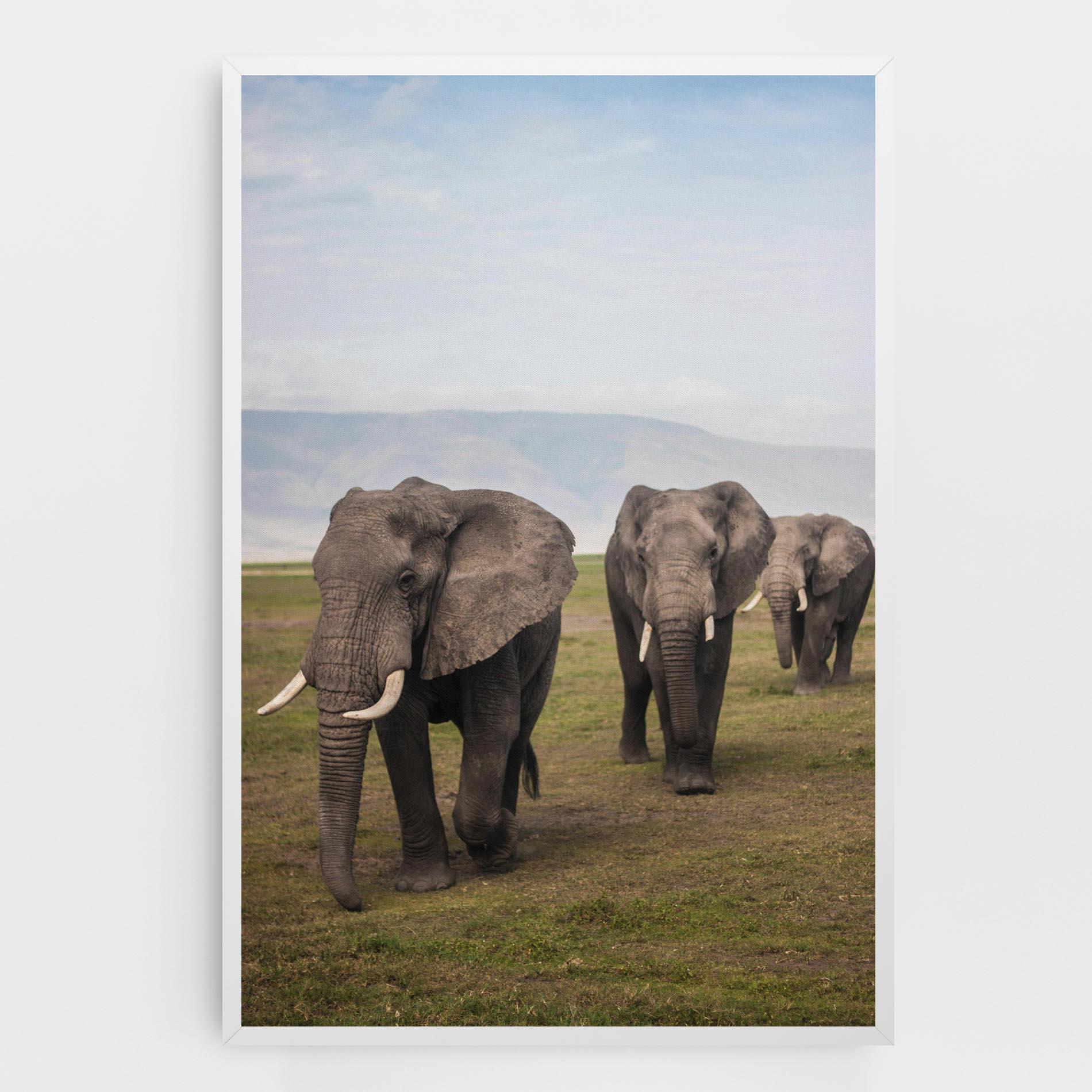 Vászonkép Elephant Landscape mockup 0