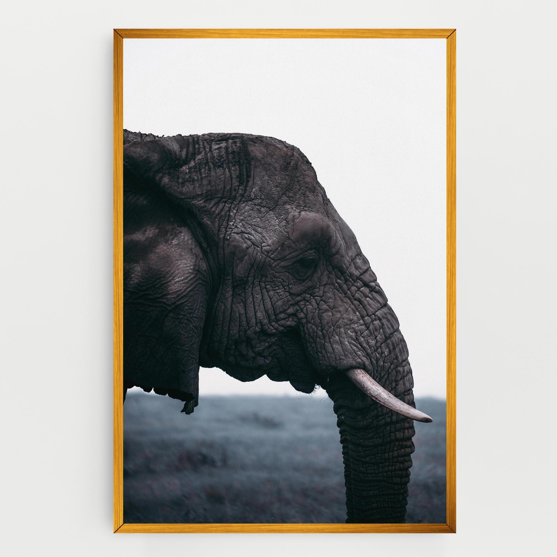 Vászonkép Close Grey Eelephant mockup 0