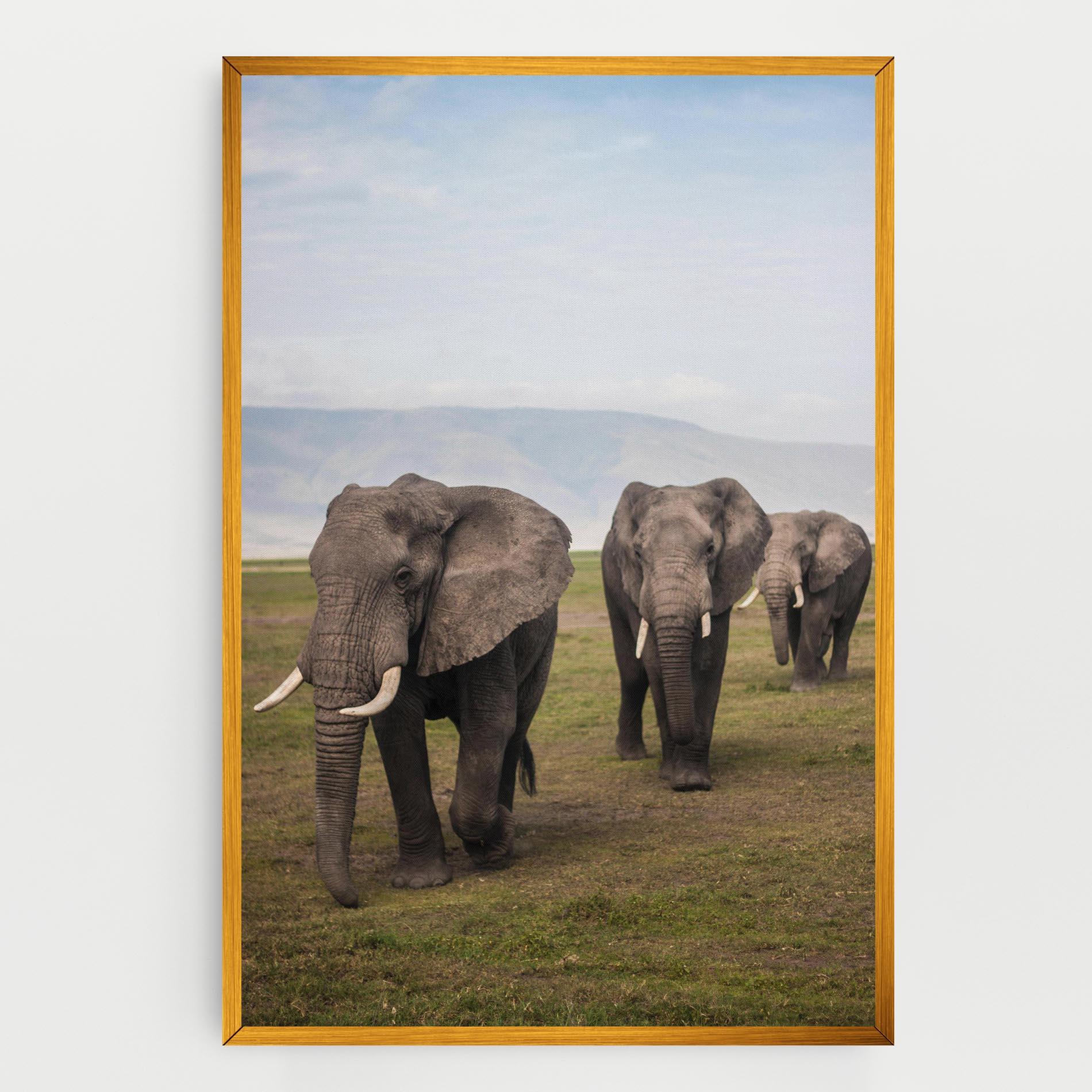 Vászonkép Elephant Landscape mockup 0