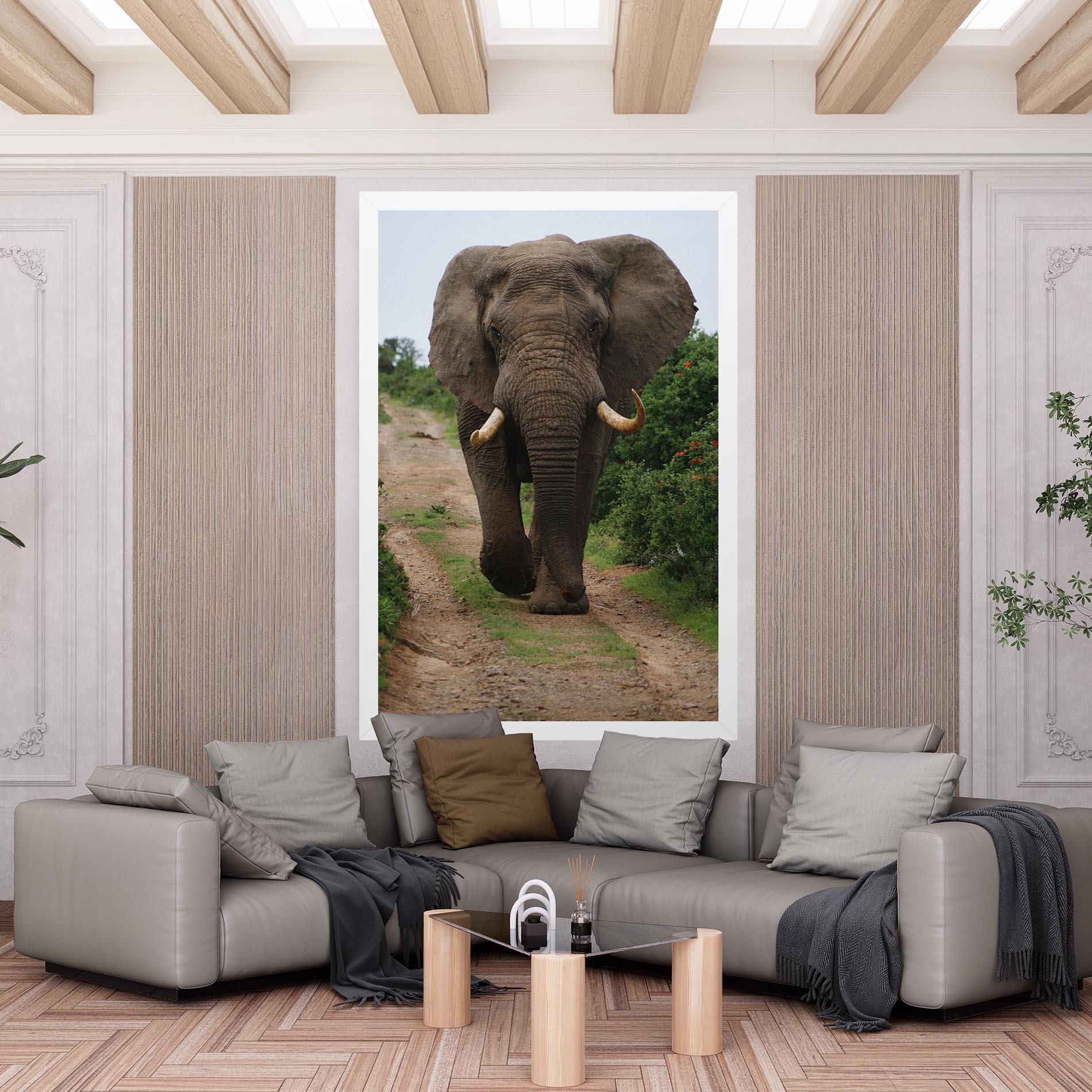 Vászonkép Elephant Safari mockup 6