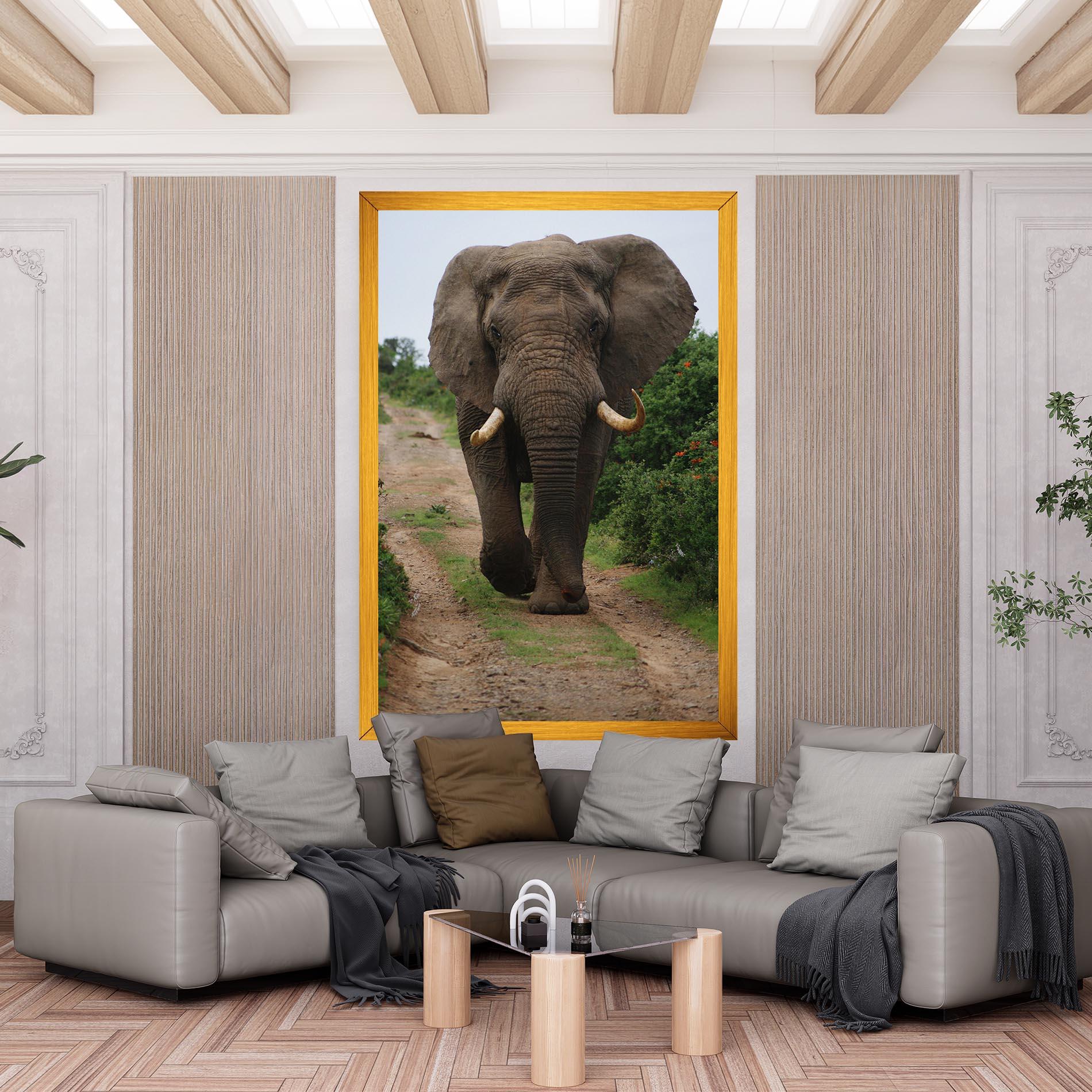 Vászonkép Elephant Safari mockup 6