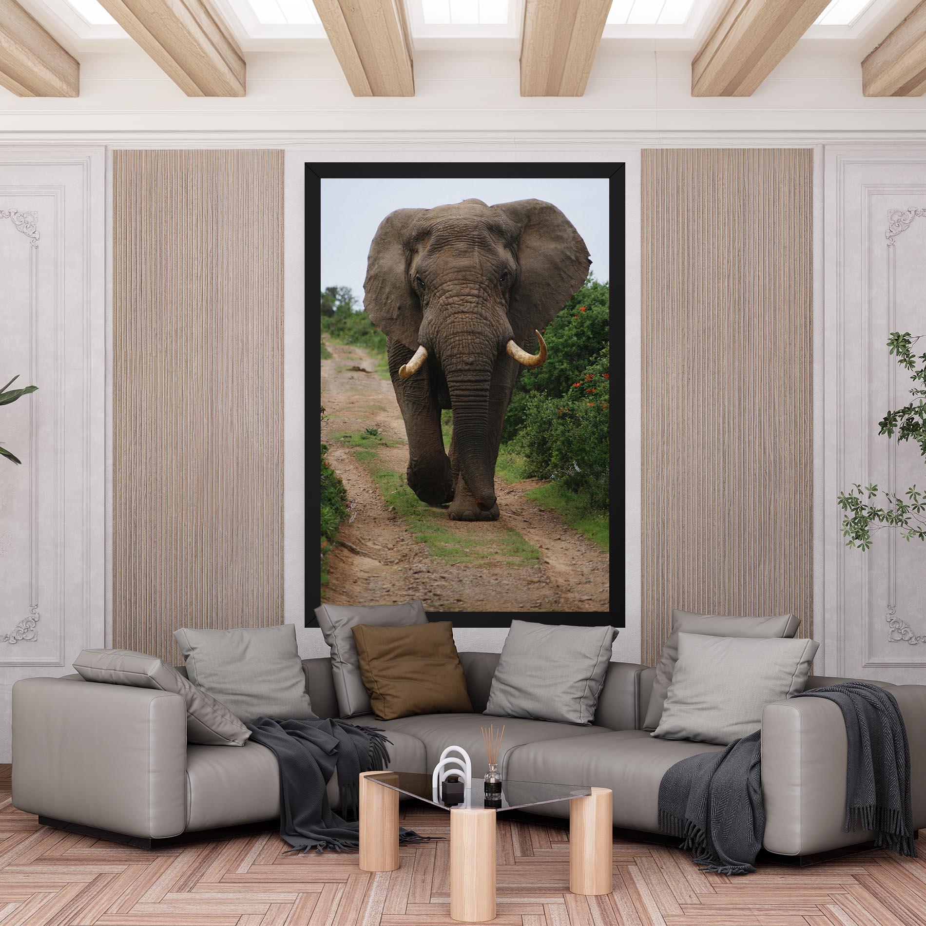 Vászonkép Elephant Safari mockup 6