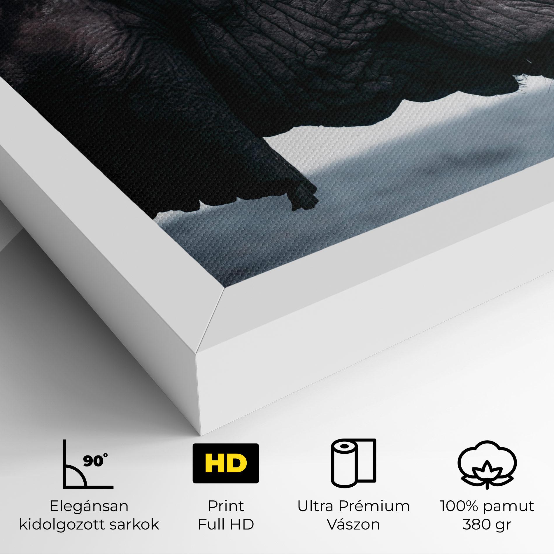 Vászonkép Close Grey Eelephant mockup 4