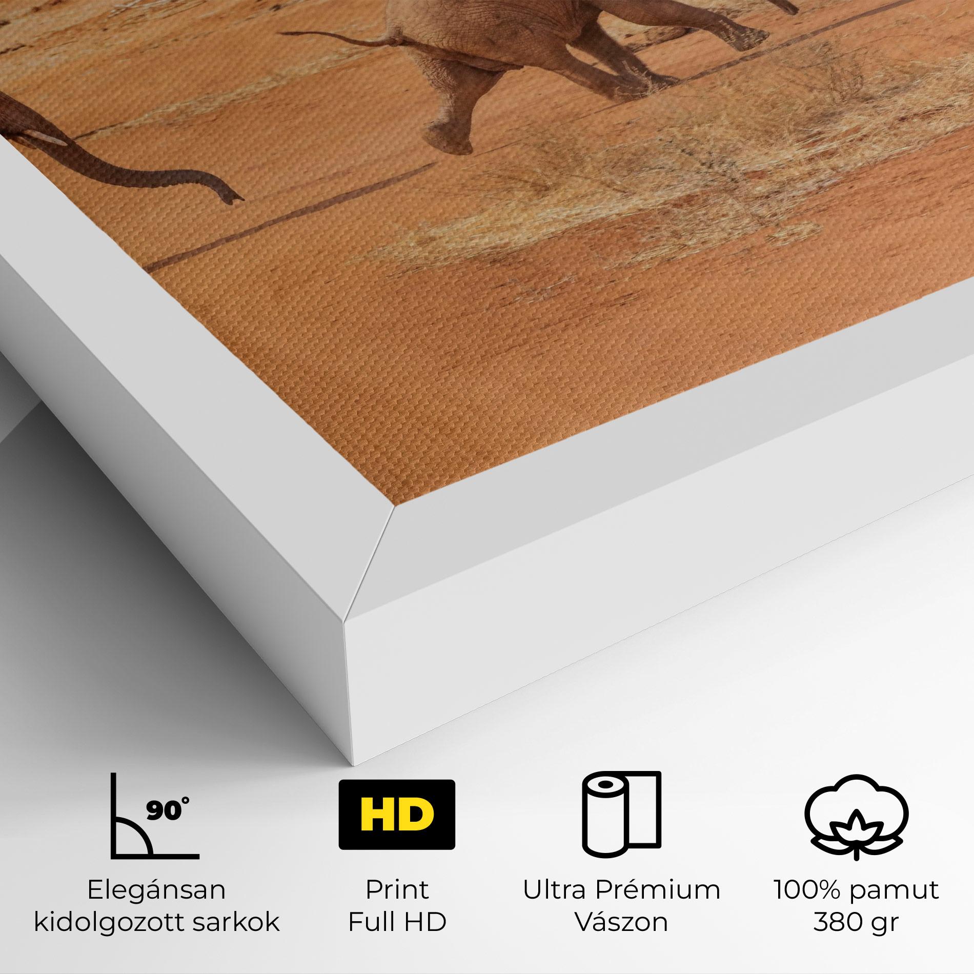 Vászonkép Desert Safari mockup 4