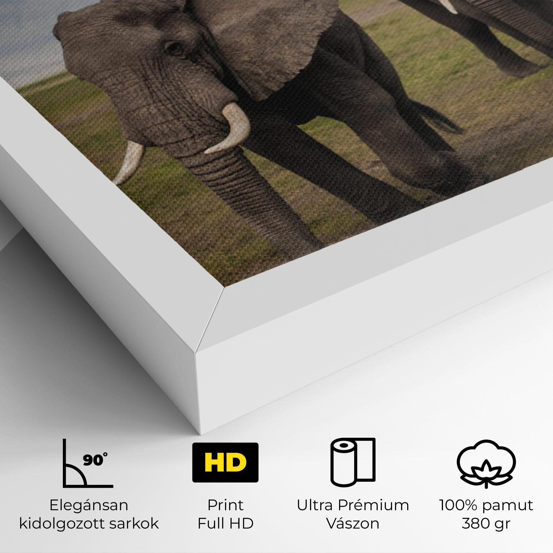 Vászonkép Elephant Landscape mockup 4