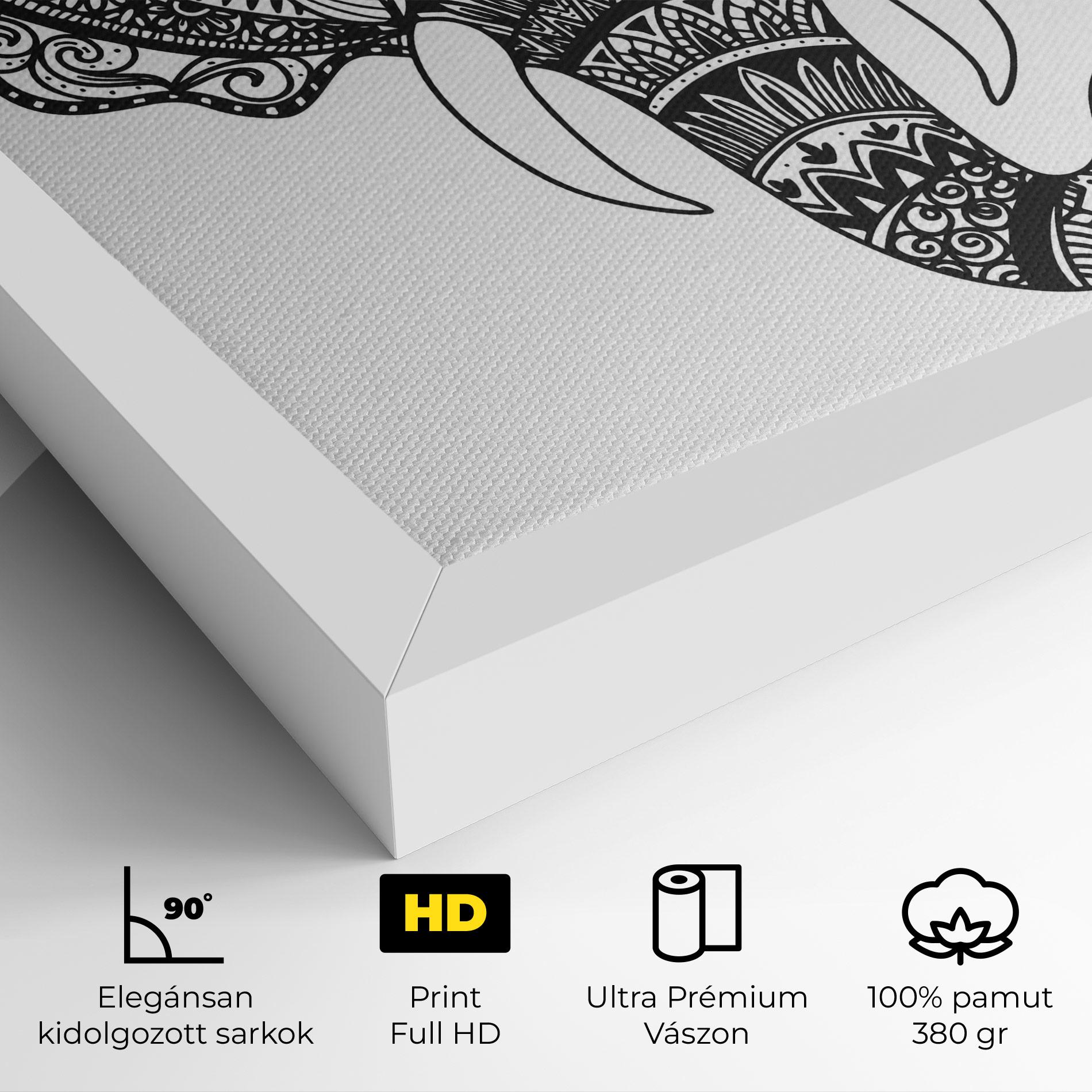 Vászonkép Mandala Head mockup 4