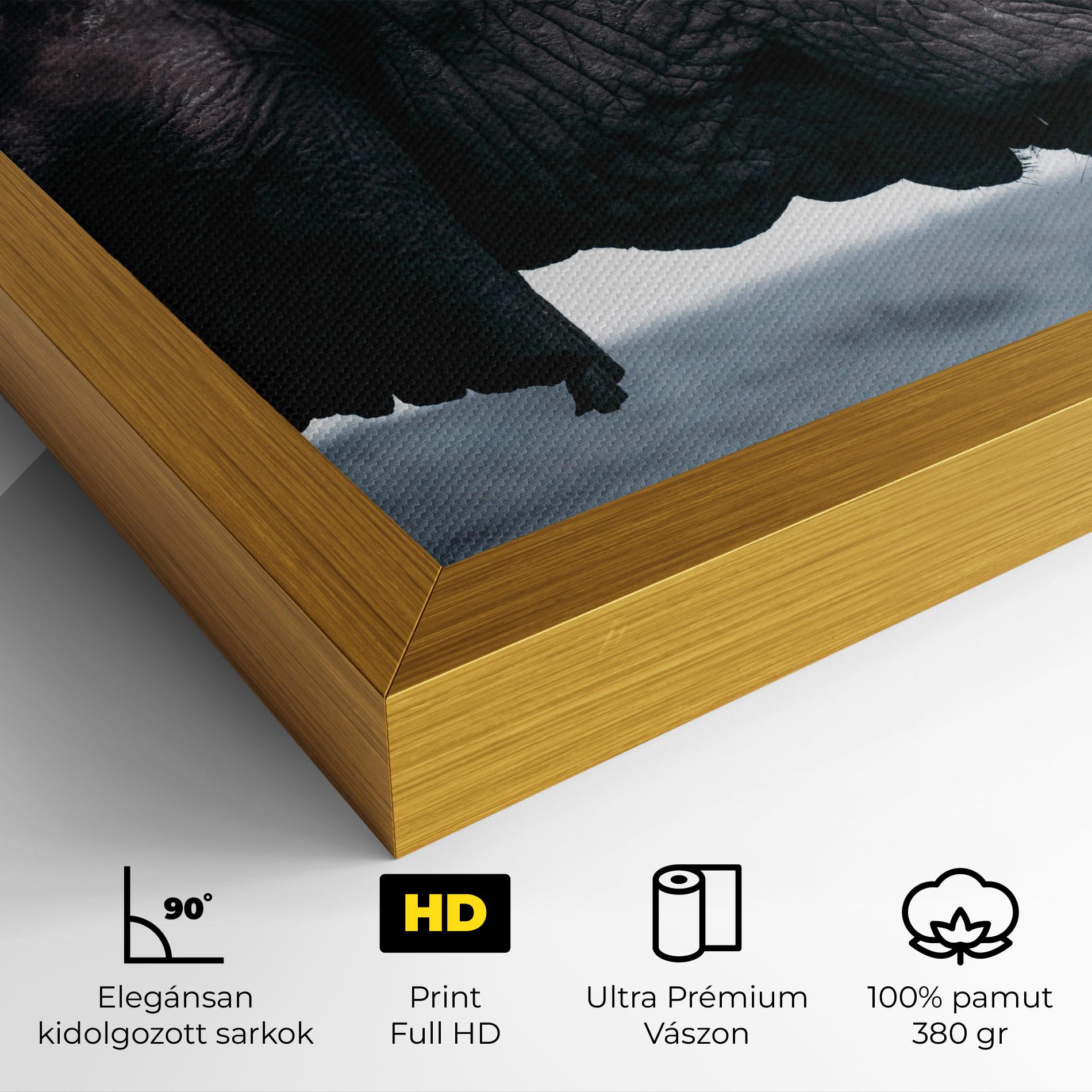 Vászonkép Close Grey Eelephant mockup 4