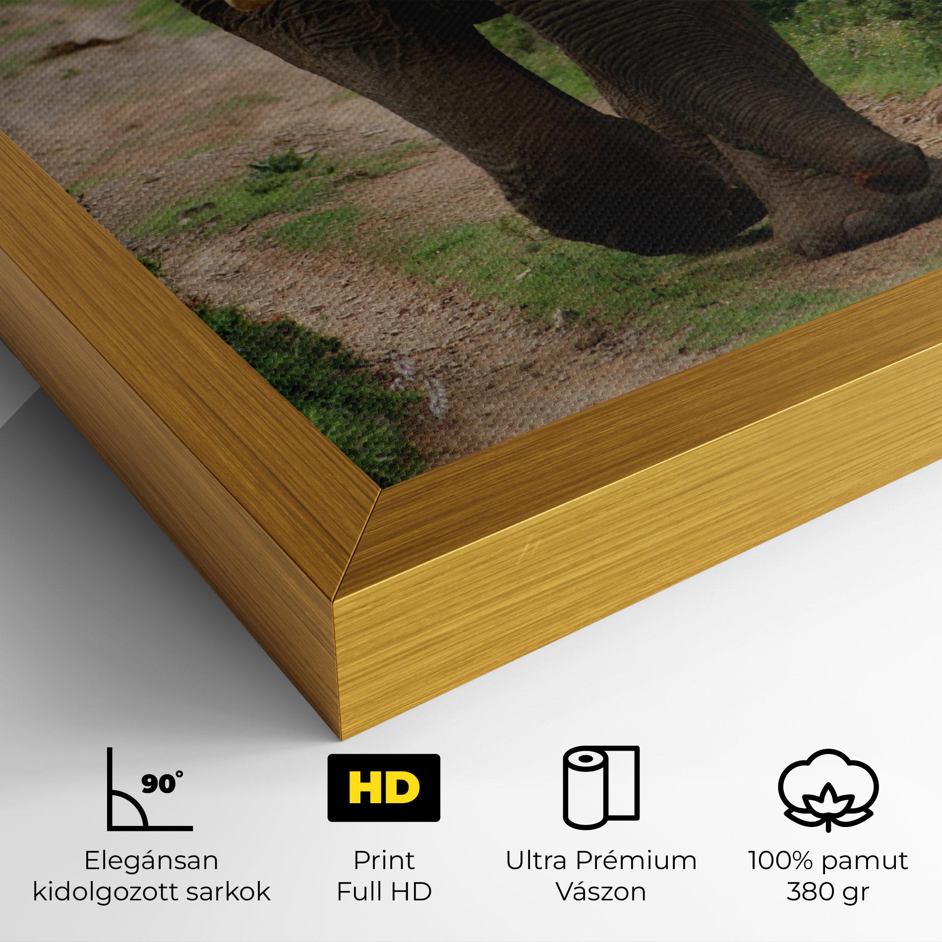 Vászonkép Elephant Safari mockup 4