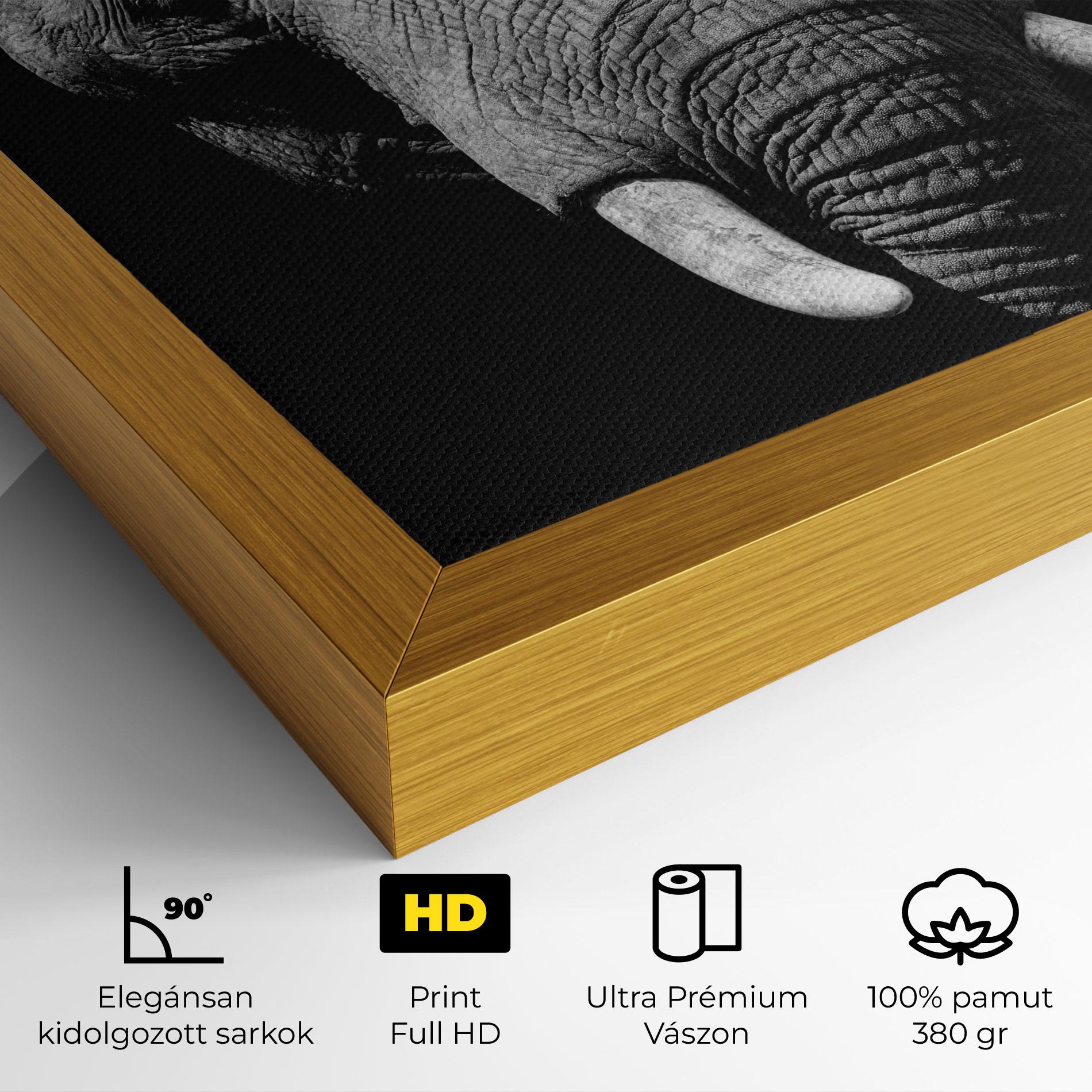 Vászonkép Shadow Elephant mockup 4