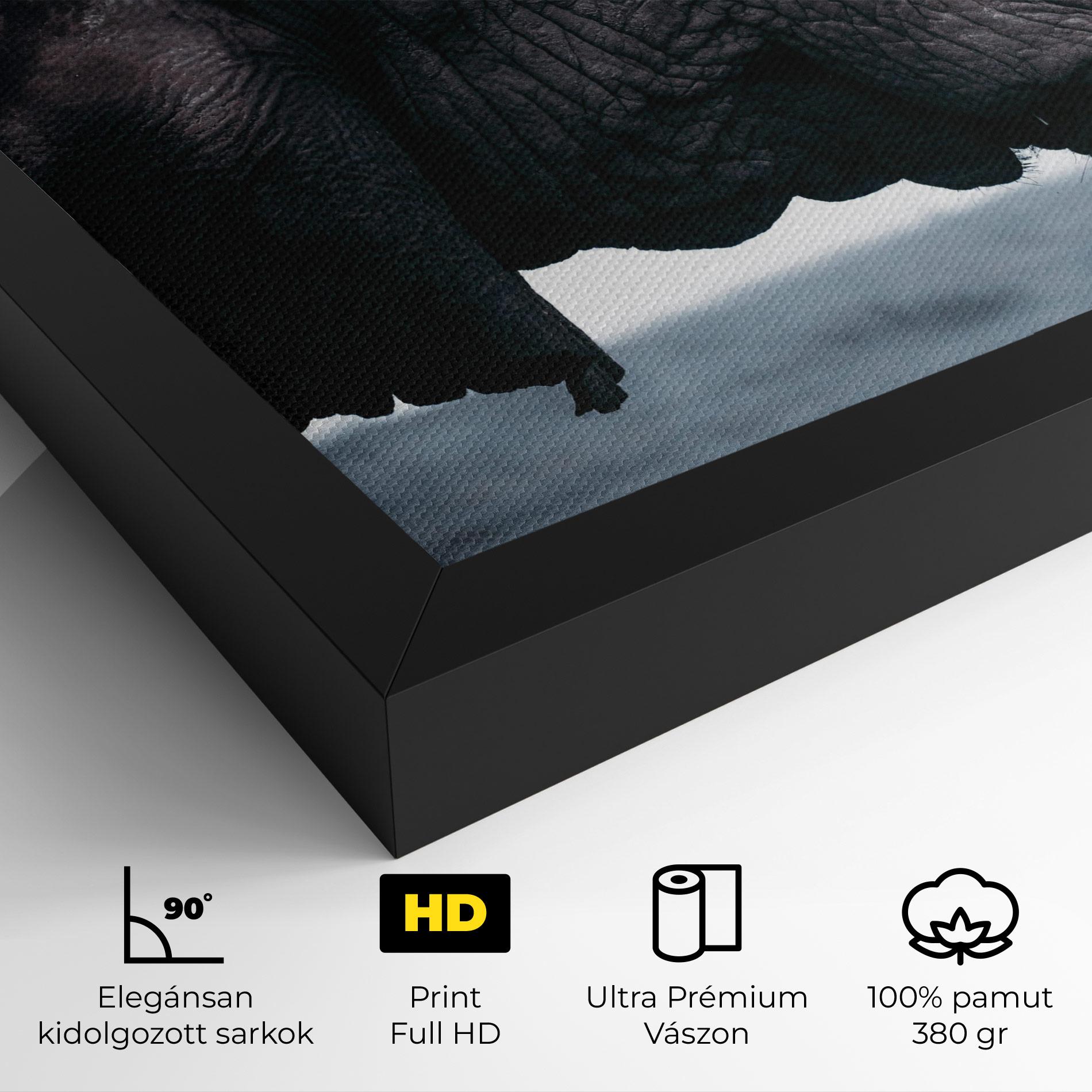 Vászonkép Close Grey Eelephant mockup 4