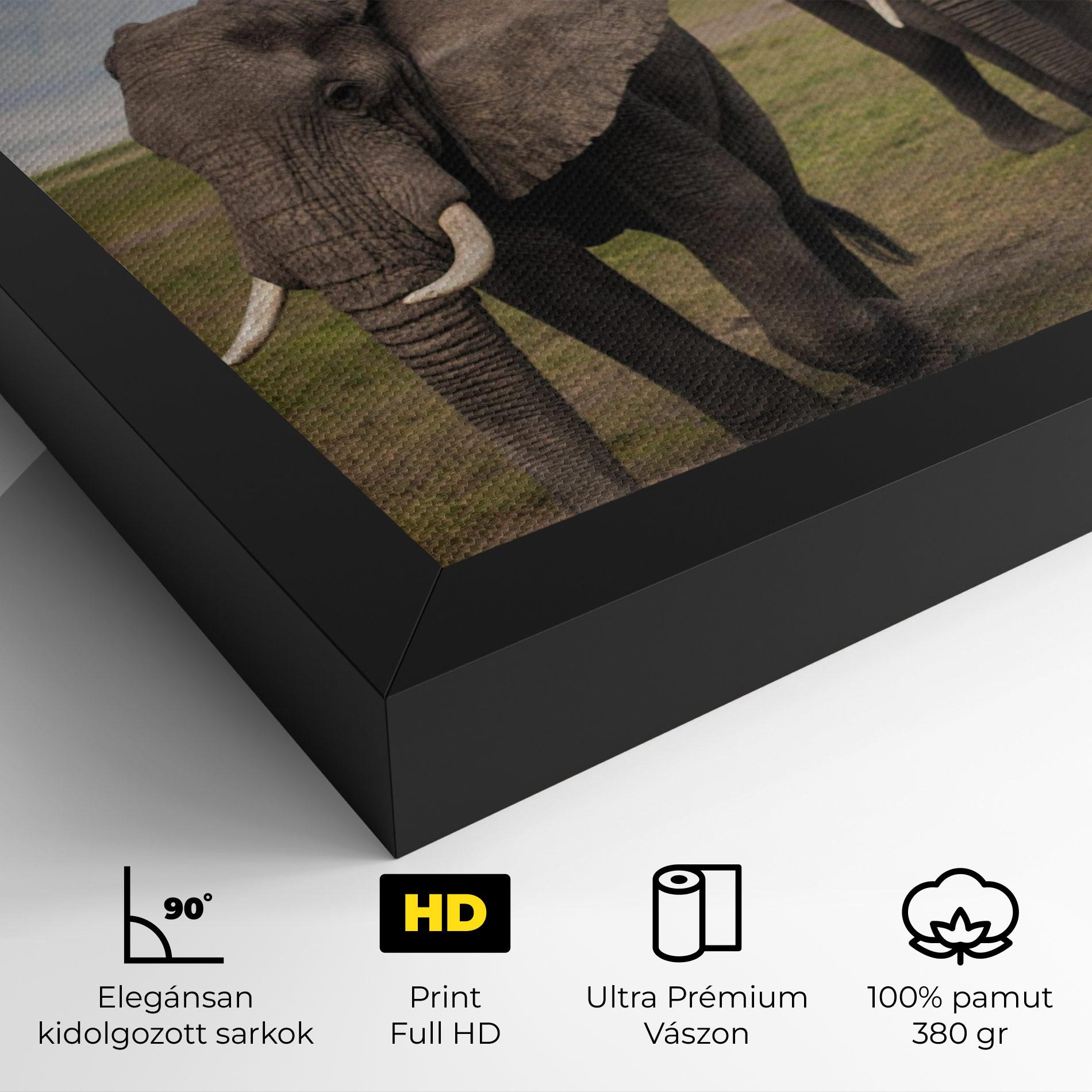 Vászonkép Elephant Landscape mockup 4