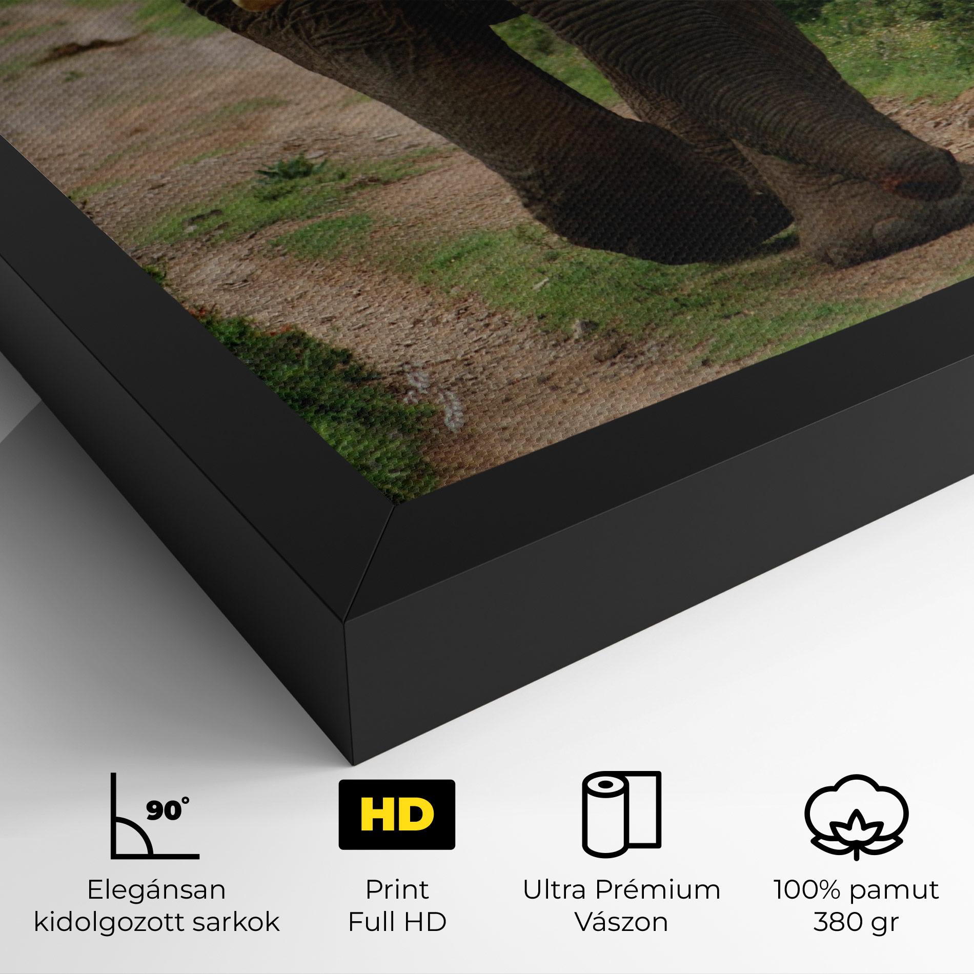 Vászonkép Elephant Safari mockup 4