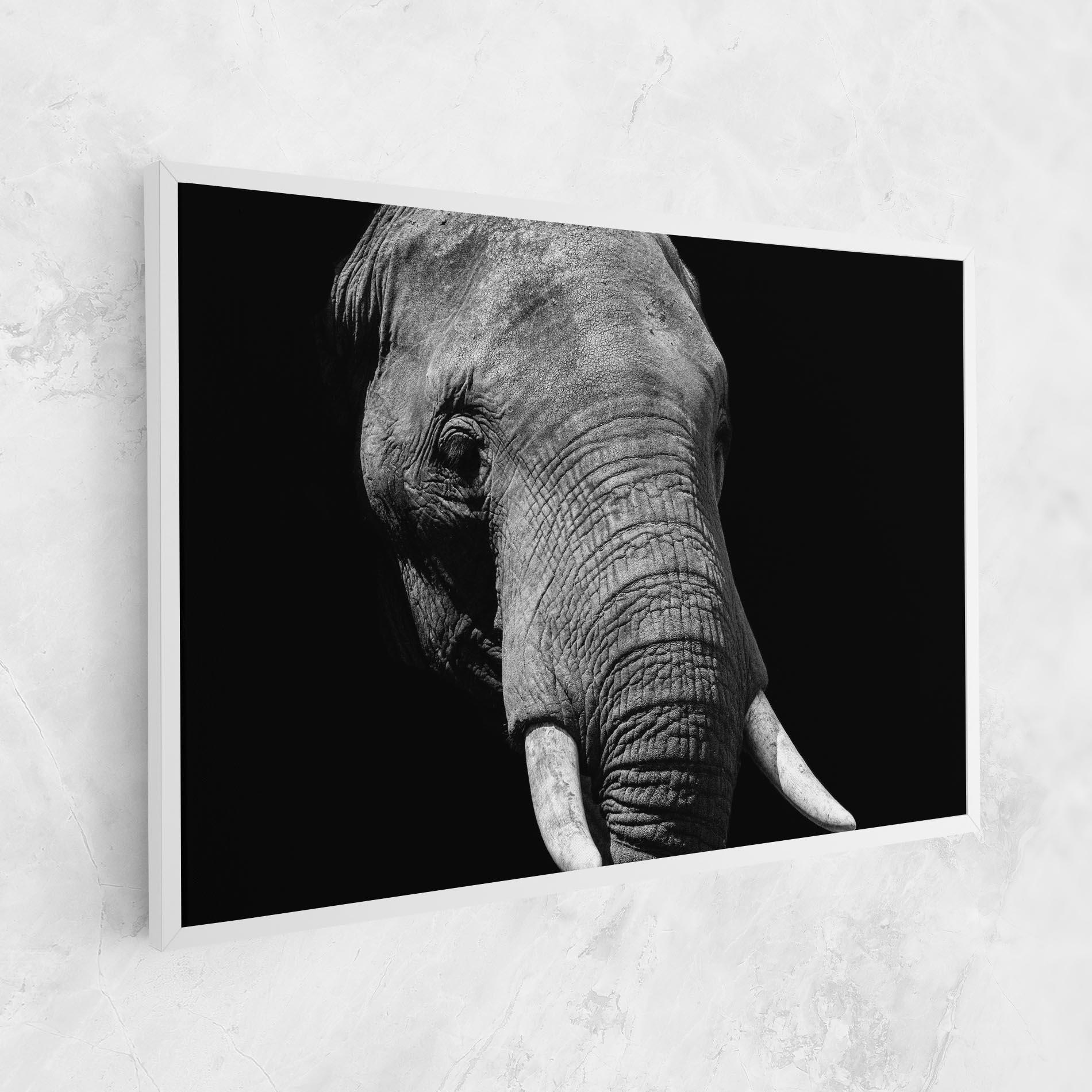 Vászonkép Shadow Elephant mockup 1