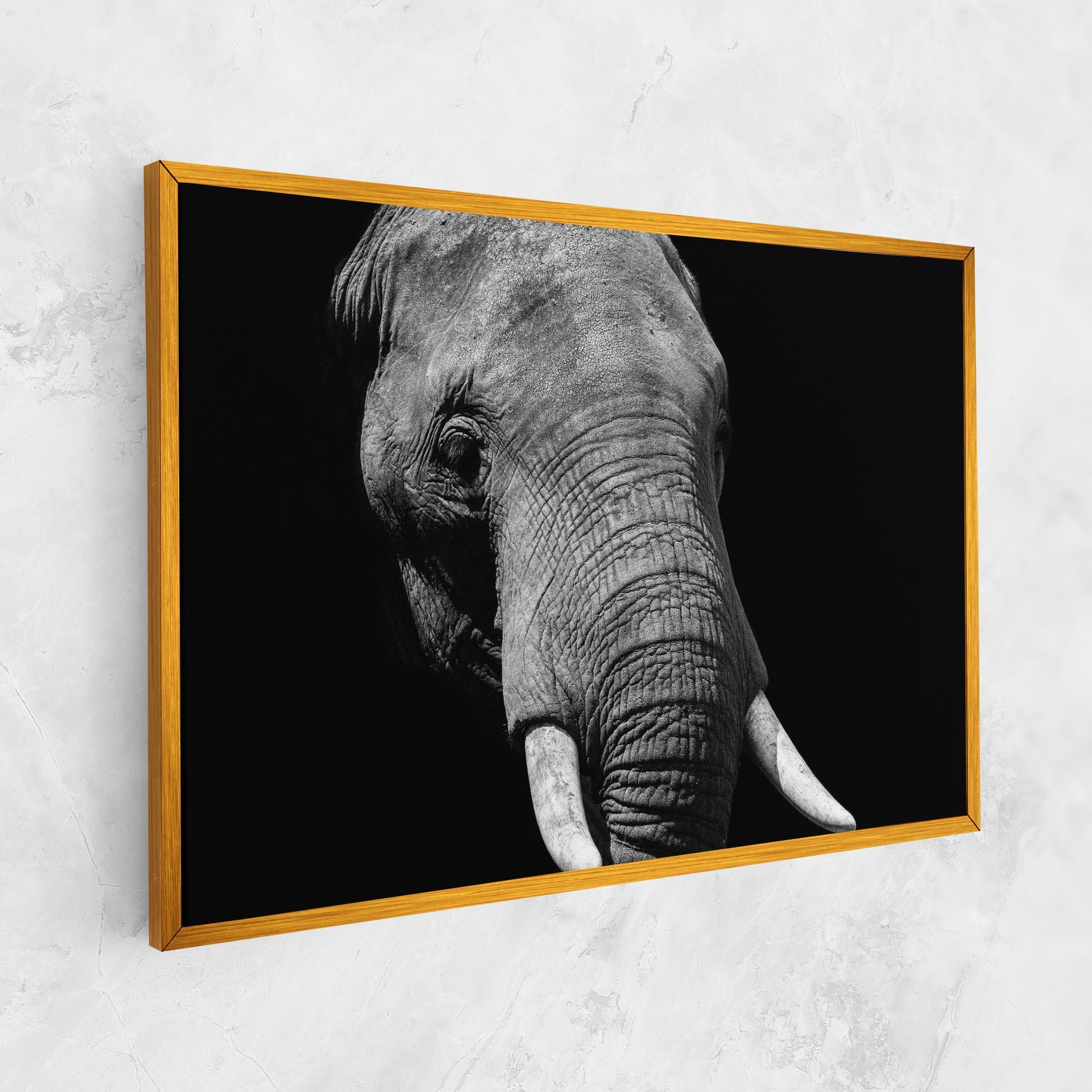 Vászonkép Shadow Elephant mockup 1