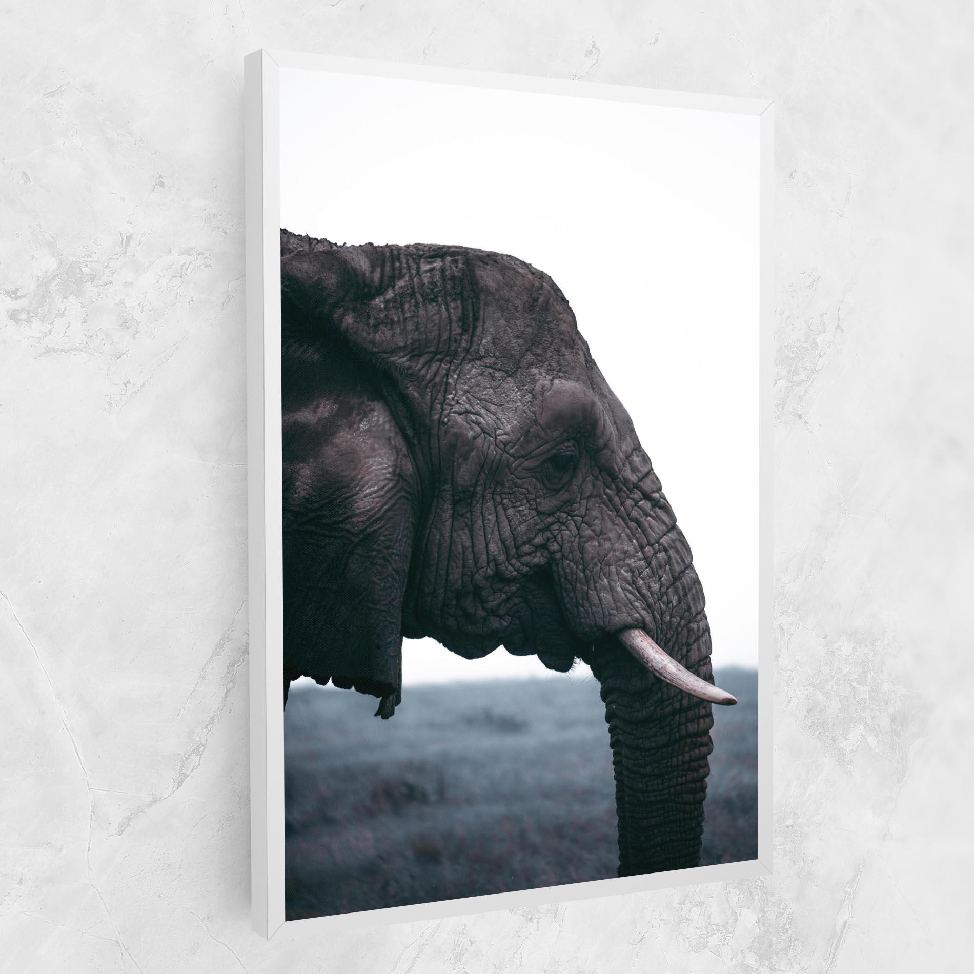 Vászonkép Close Grey Eelephant mockup 1