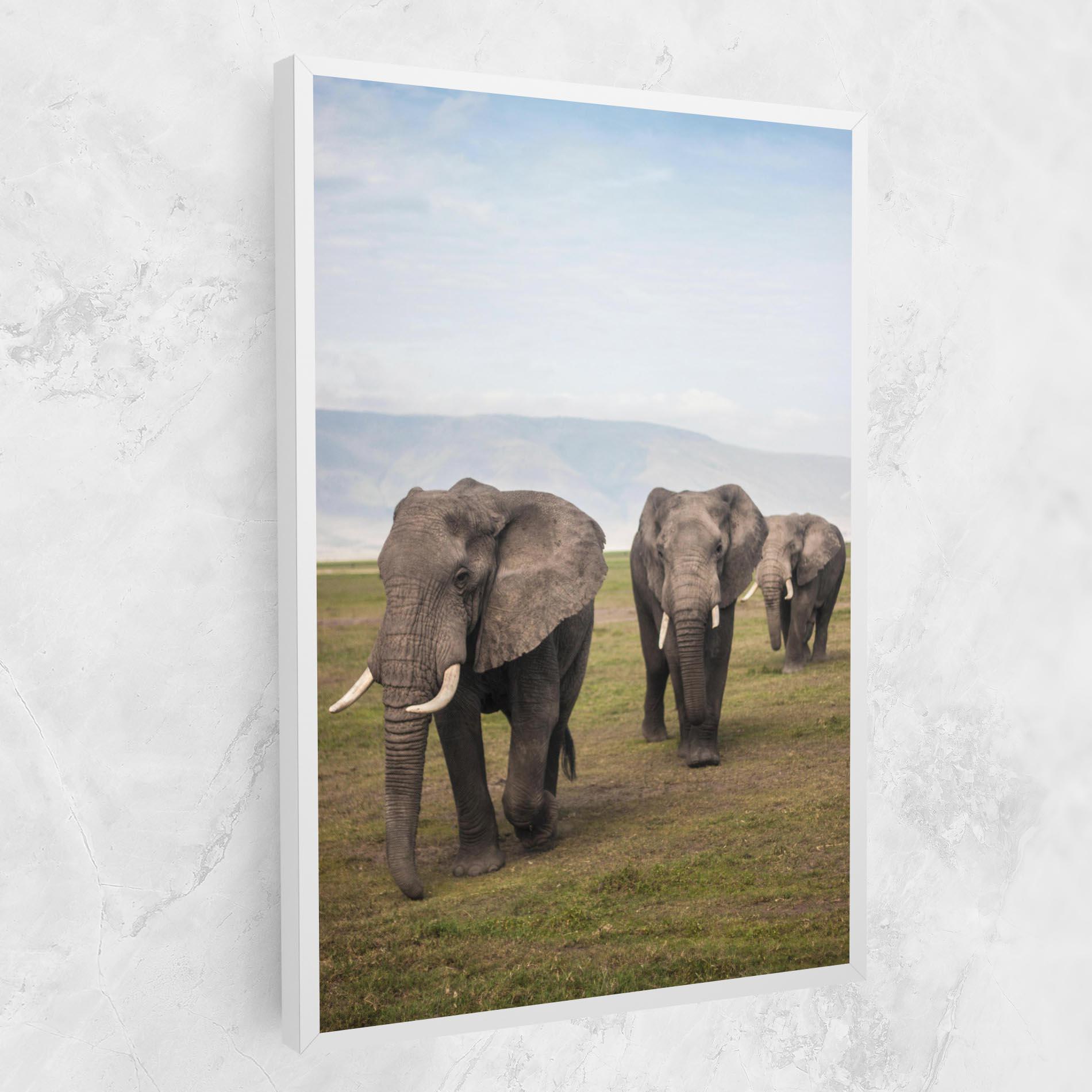 Vászonkép Elephant Landscape mockup 1