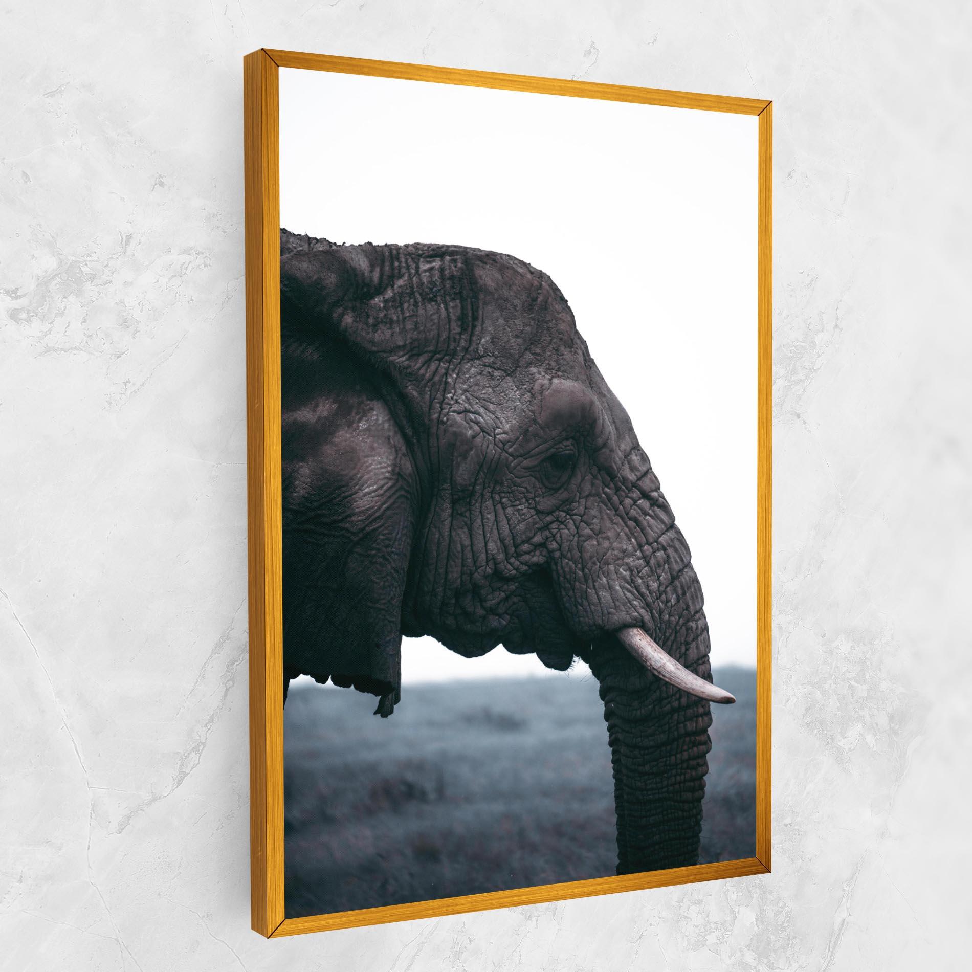 Vászonkép Close Grey Eelephant mockup 1