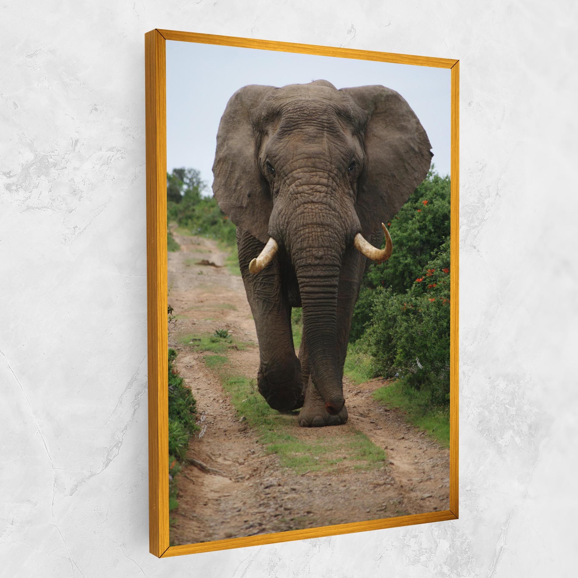 Elephant Safari mockup 1