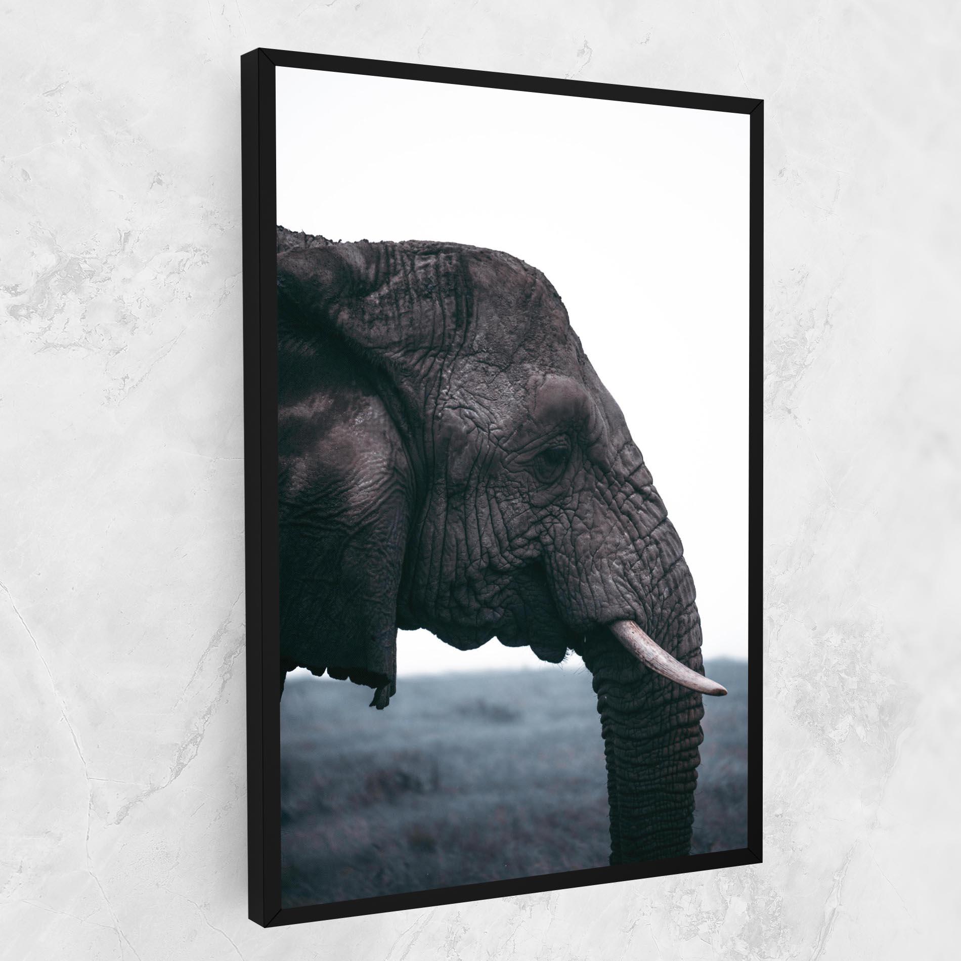 Vászonkép Close Grey Eelephant mockup 1