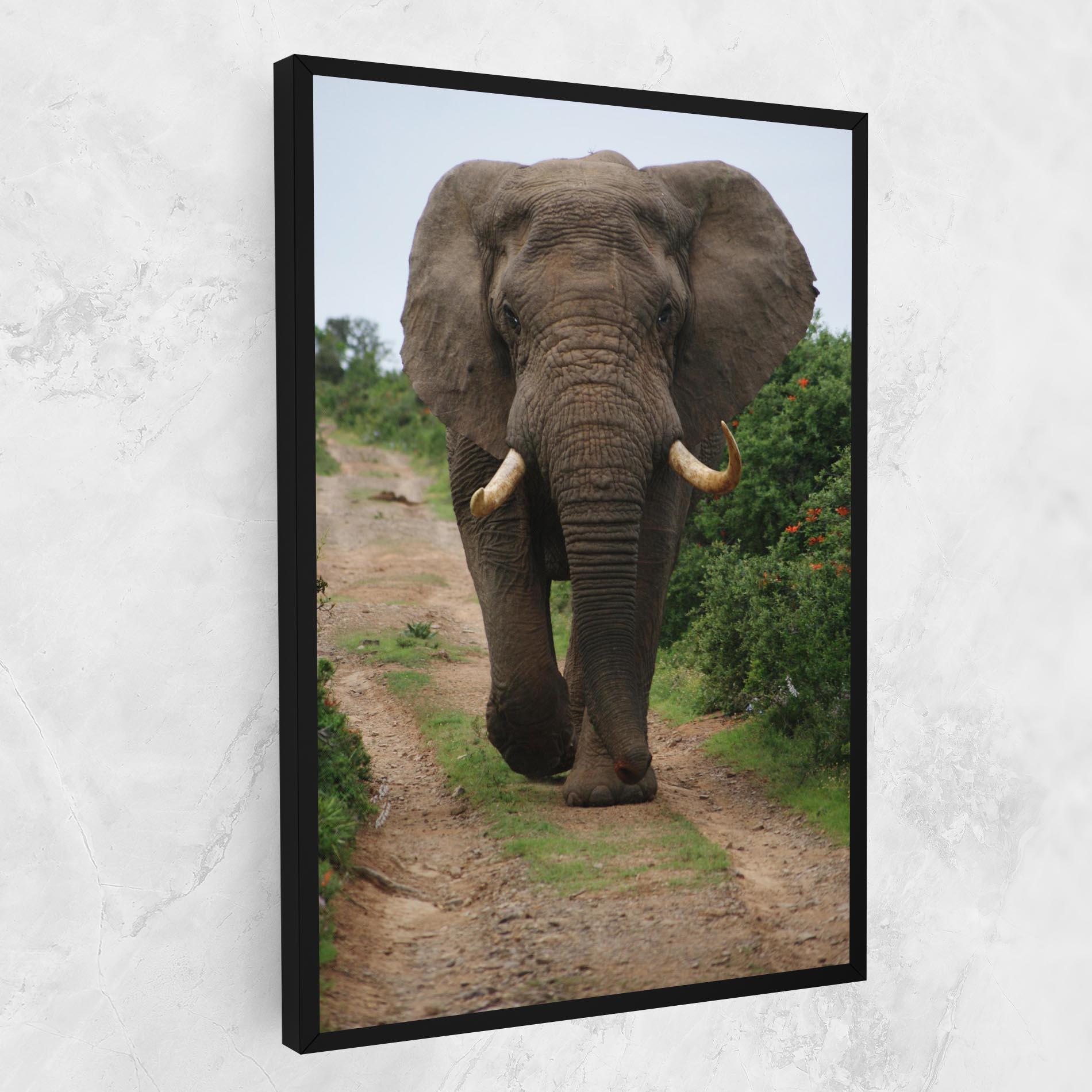 Vászonkép Elephant Safari mockup 1
