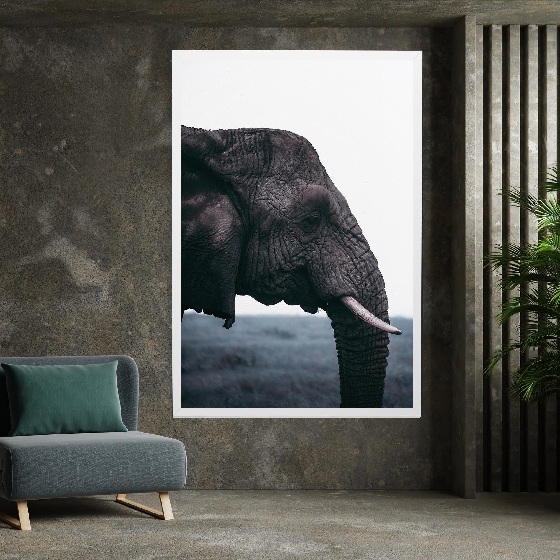 Vászonkép Close Grey Eelephant mockup 7