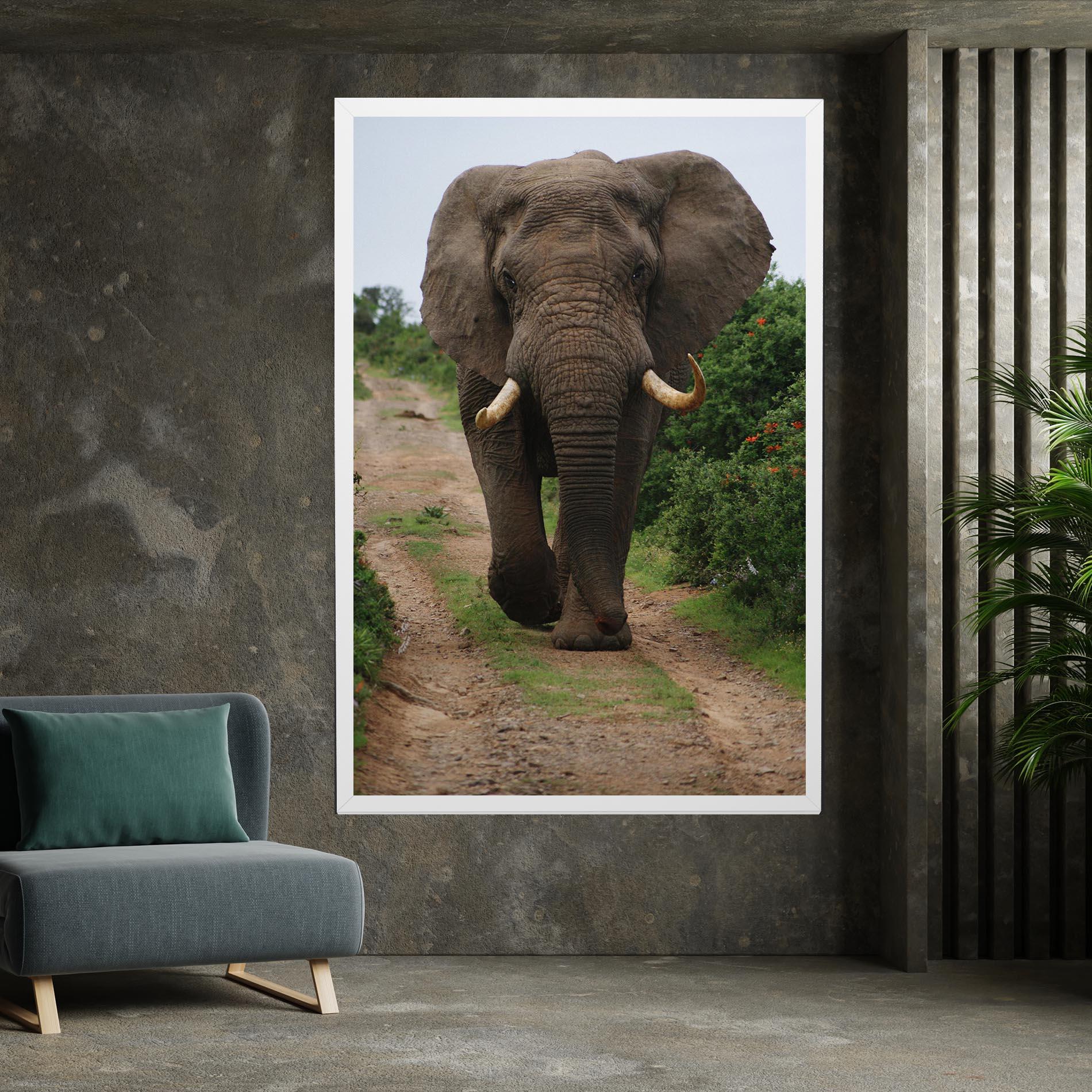 Vászonkép Elephant Safari mockup 7