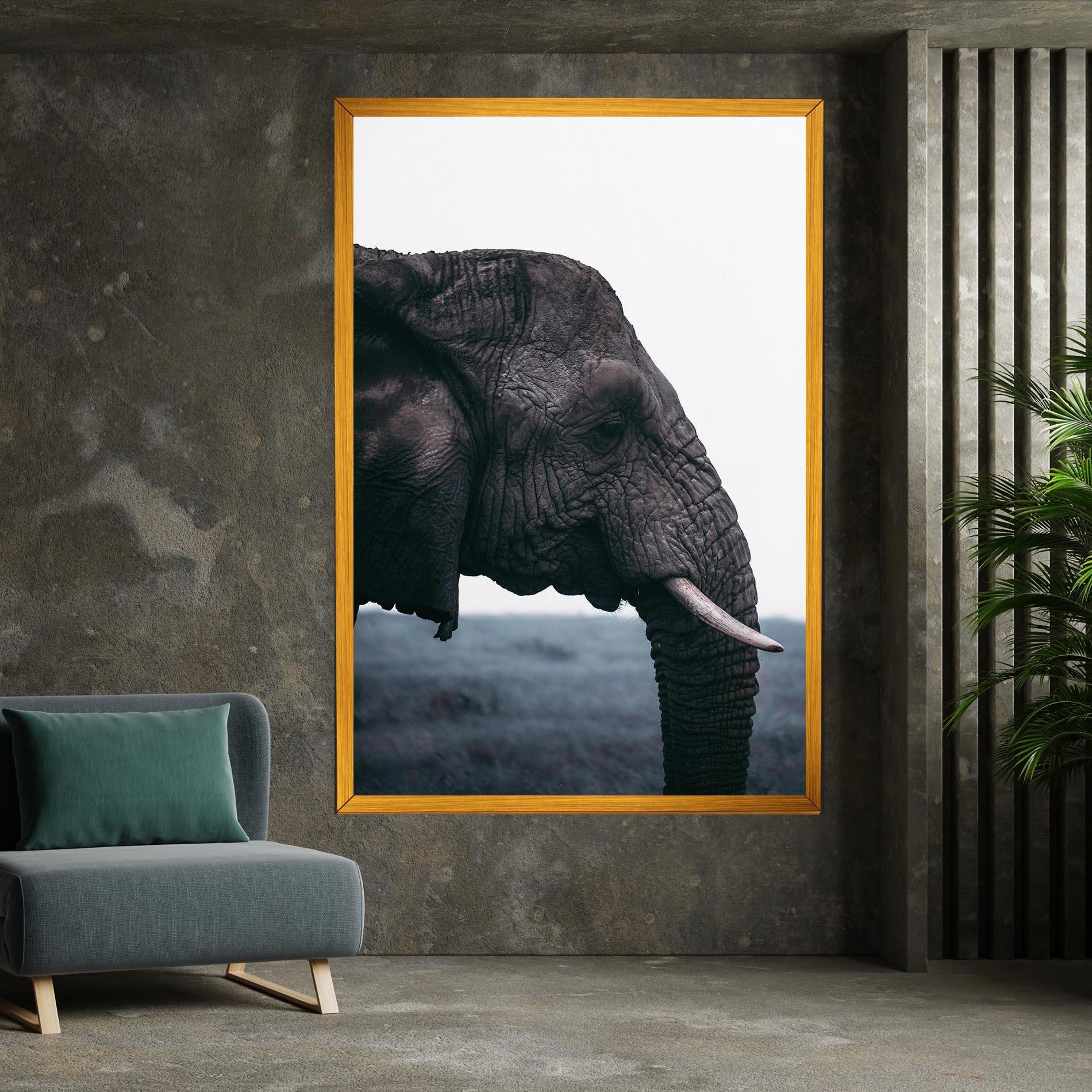 Vászonkép Close Grey Eelephant mockup 7