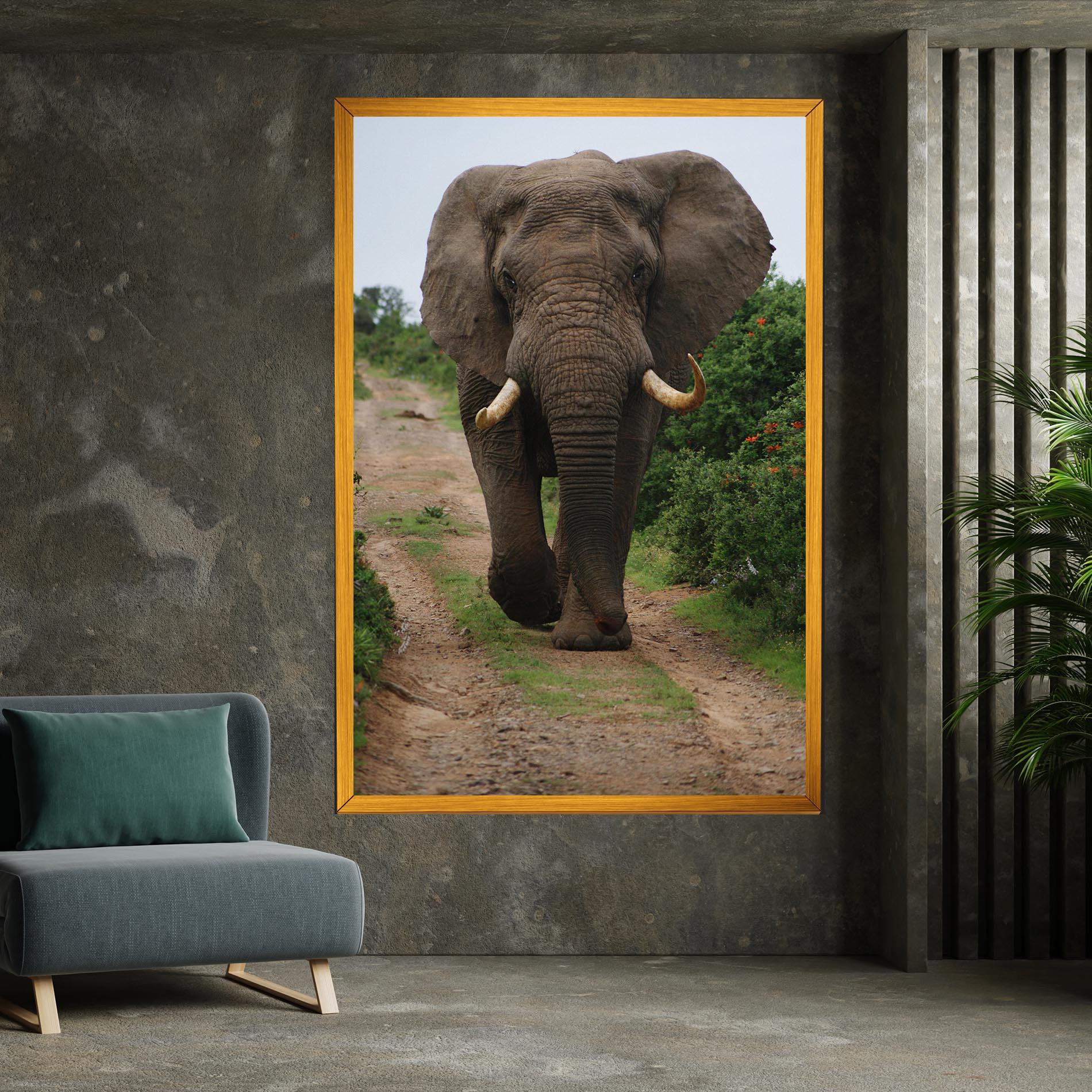 Vászonkép Elephant Safari mockup 7