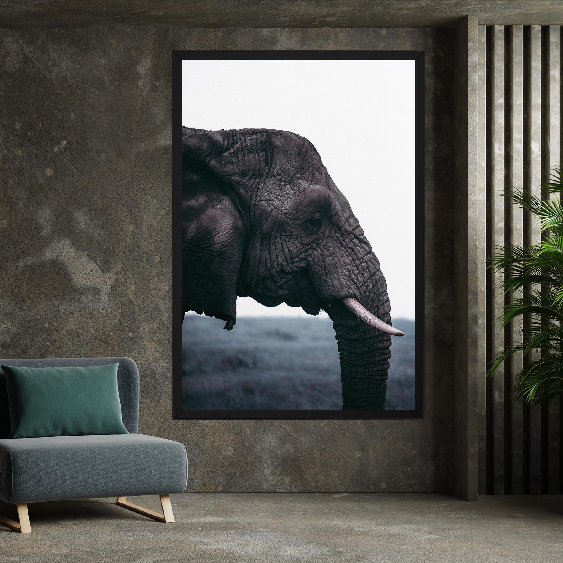 Vászonkép Close Grey Eelephant mockup 7