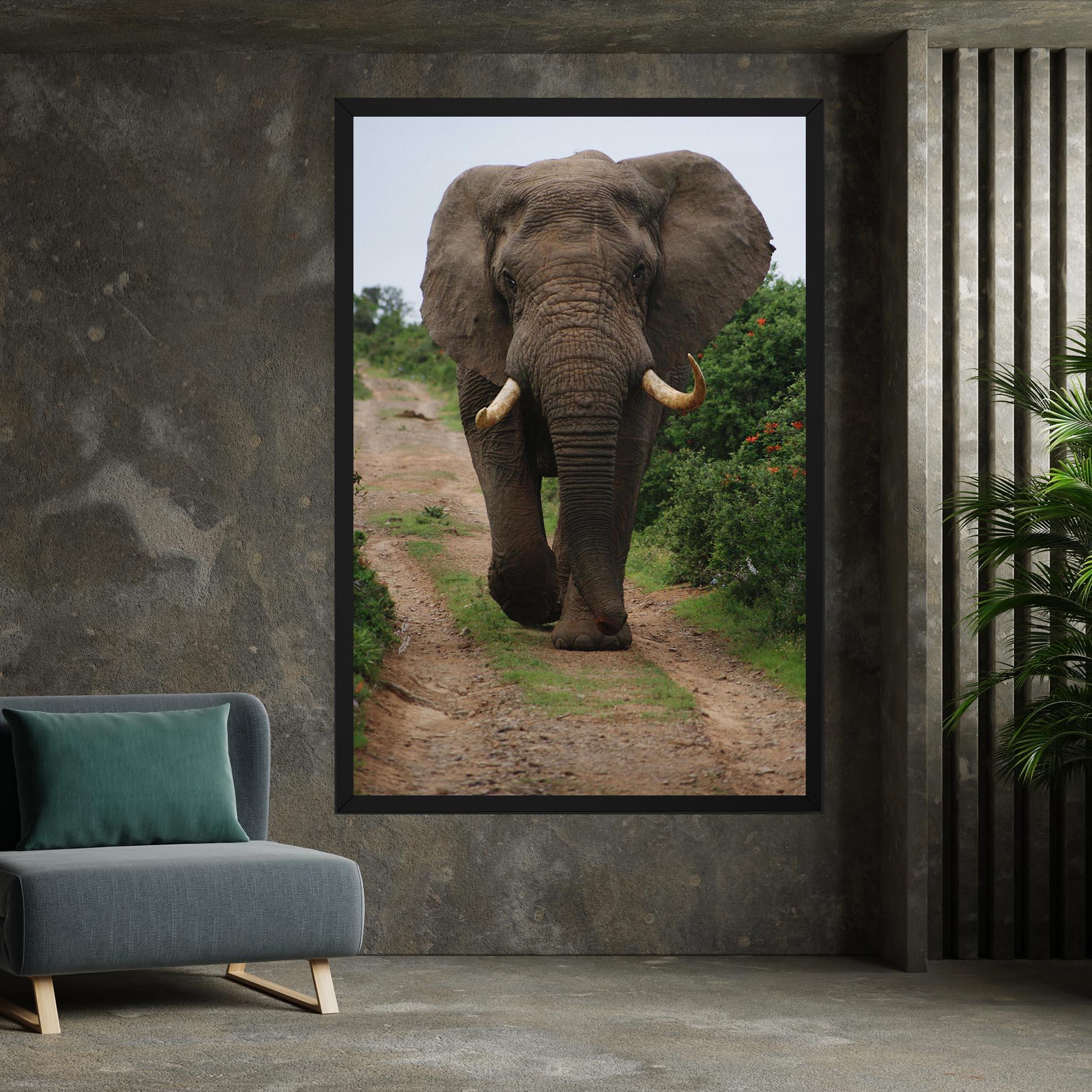 Vászonkép Elephant Safari mockup 7