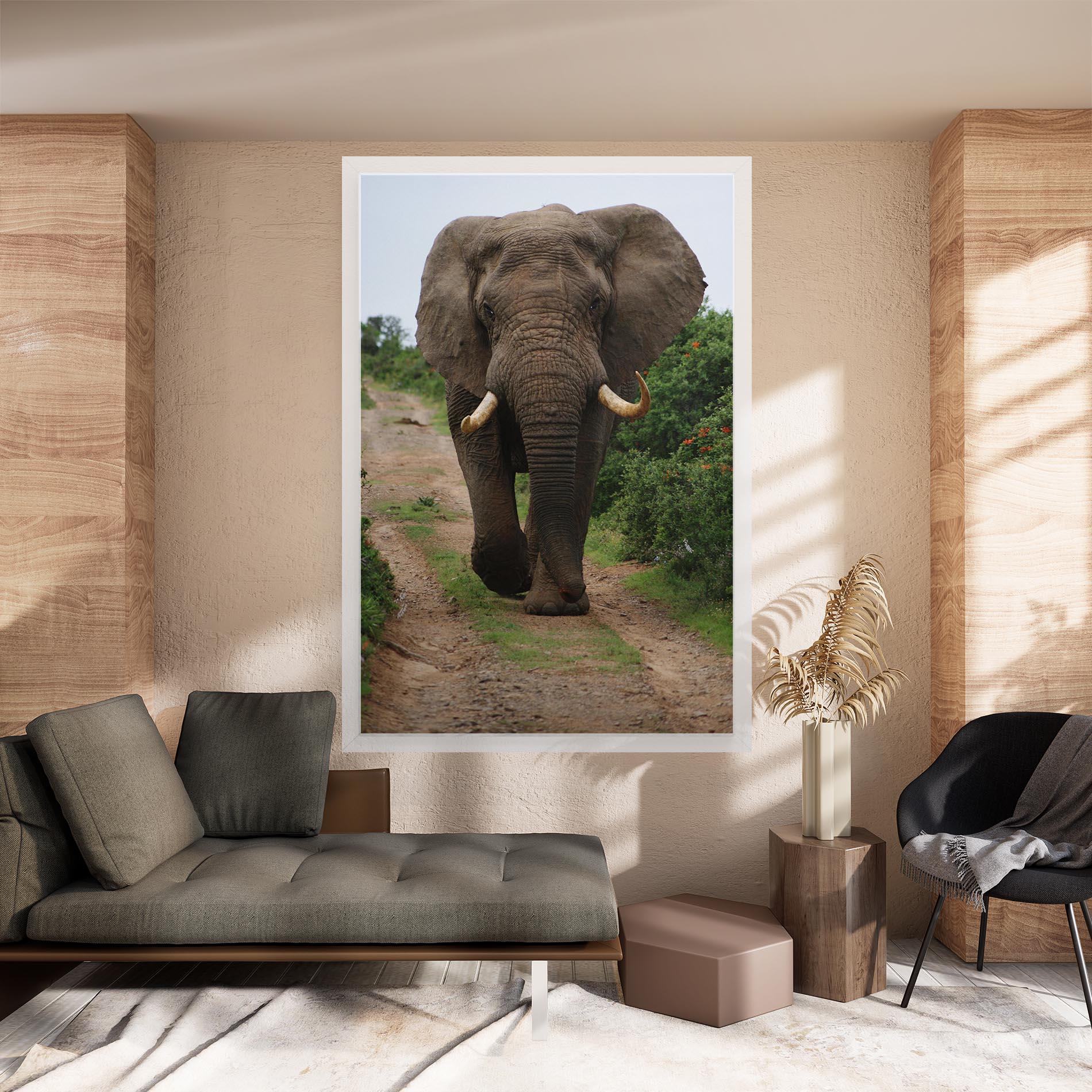 Vászonkép Elephant Safari mockup 8