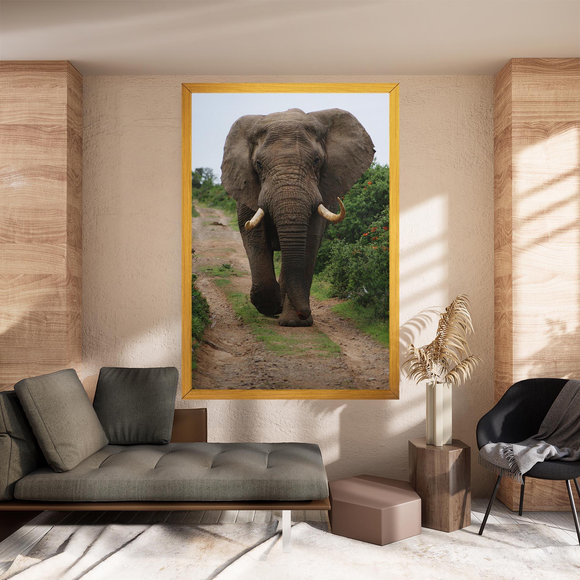Vászonkép Elephant Safari mockup 8