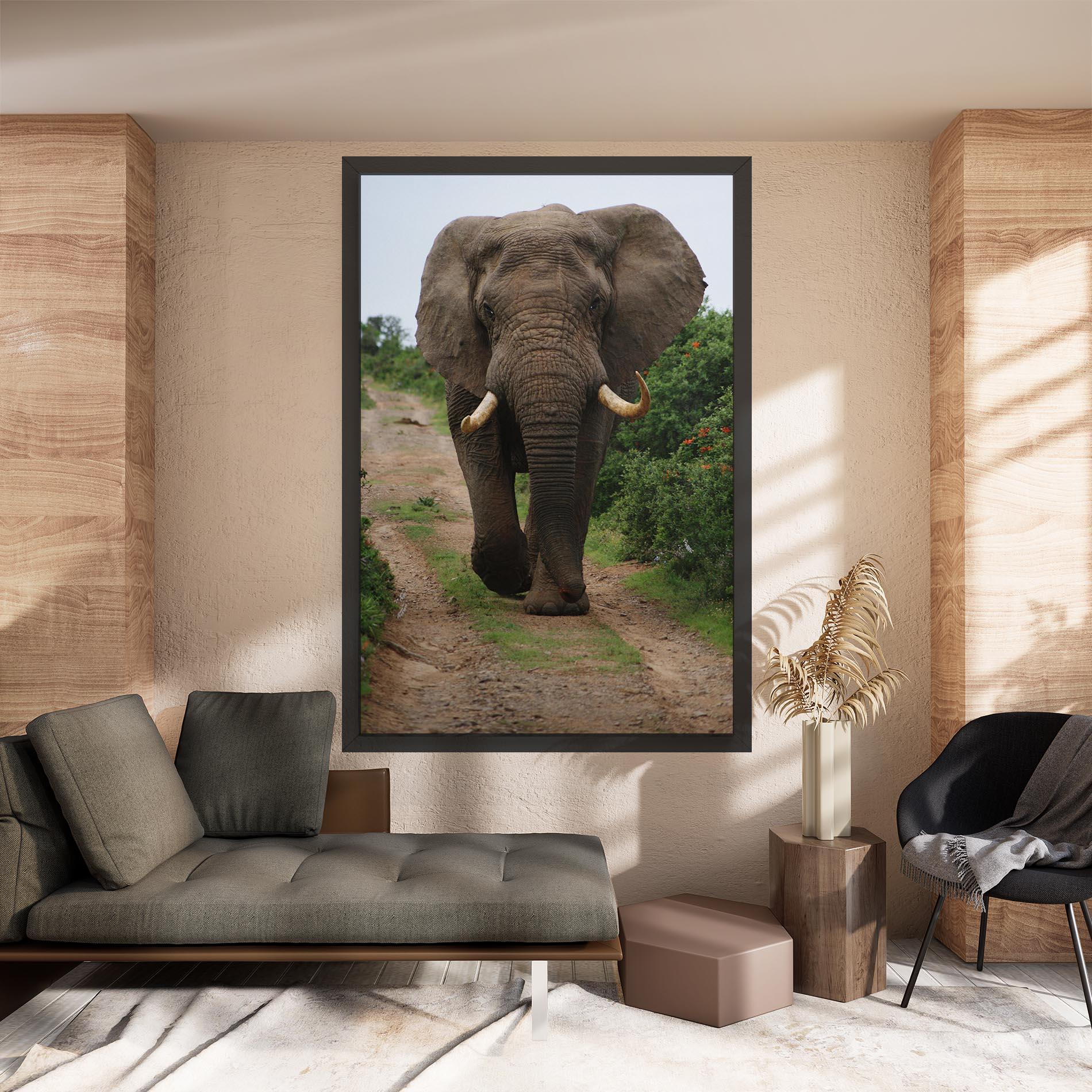 Vászonkép Elephant Safari mockup 8