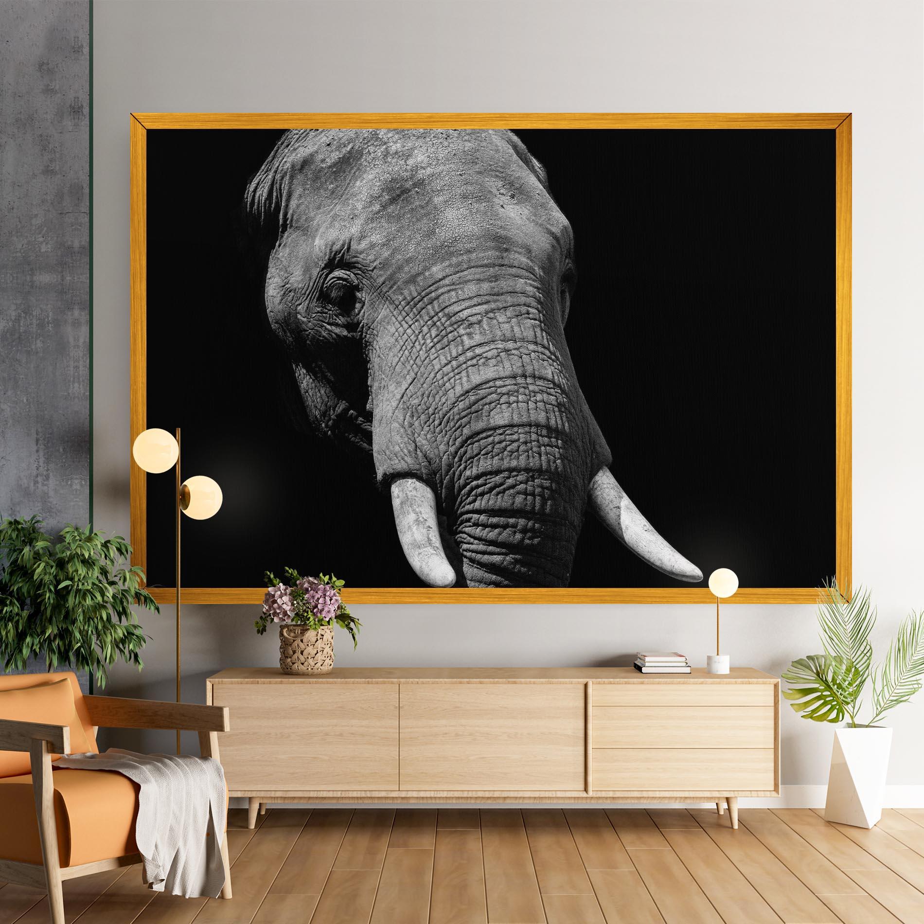 Vászonkép Shadow Elephant mockup 9