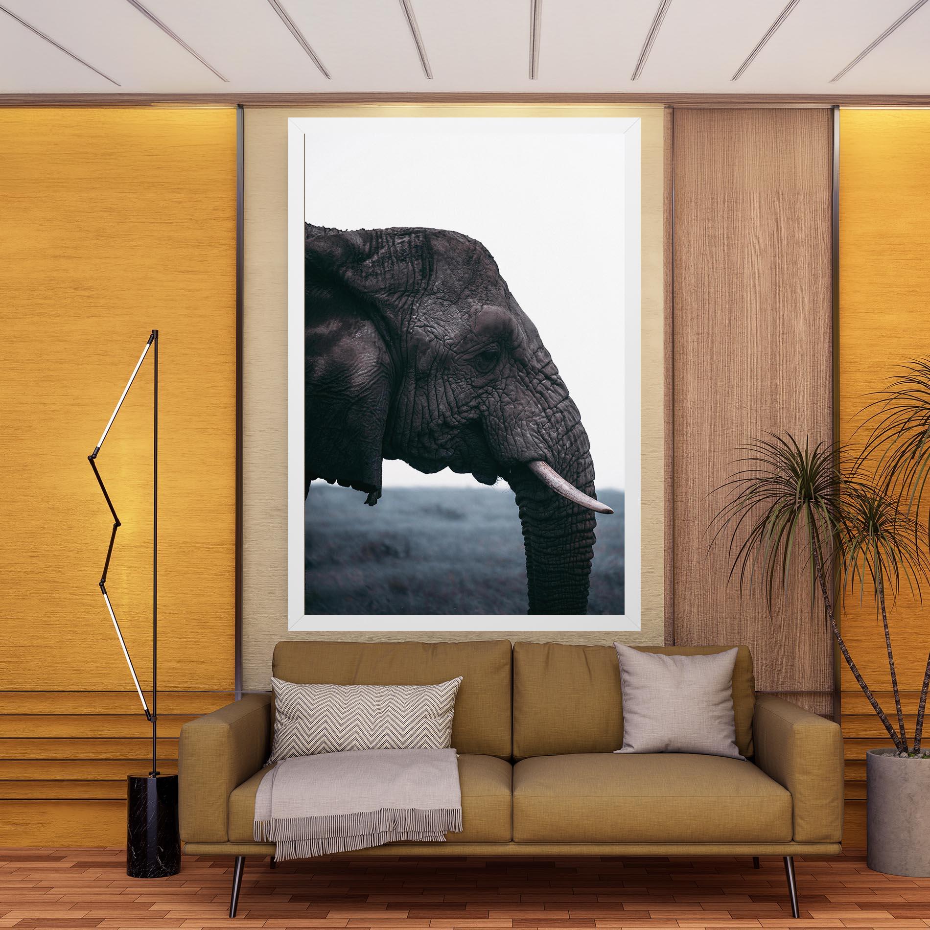 Vászonkép Close Grey Eelephant mockup 9