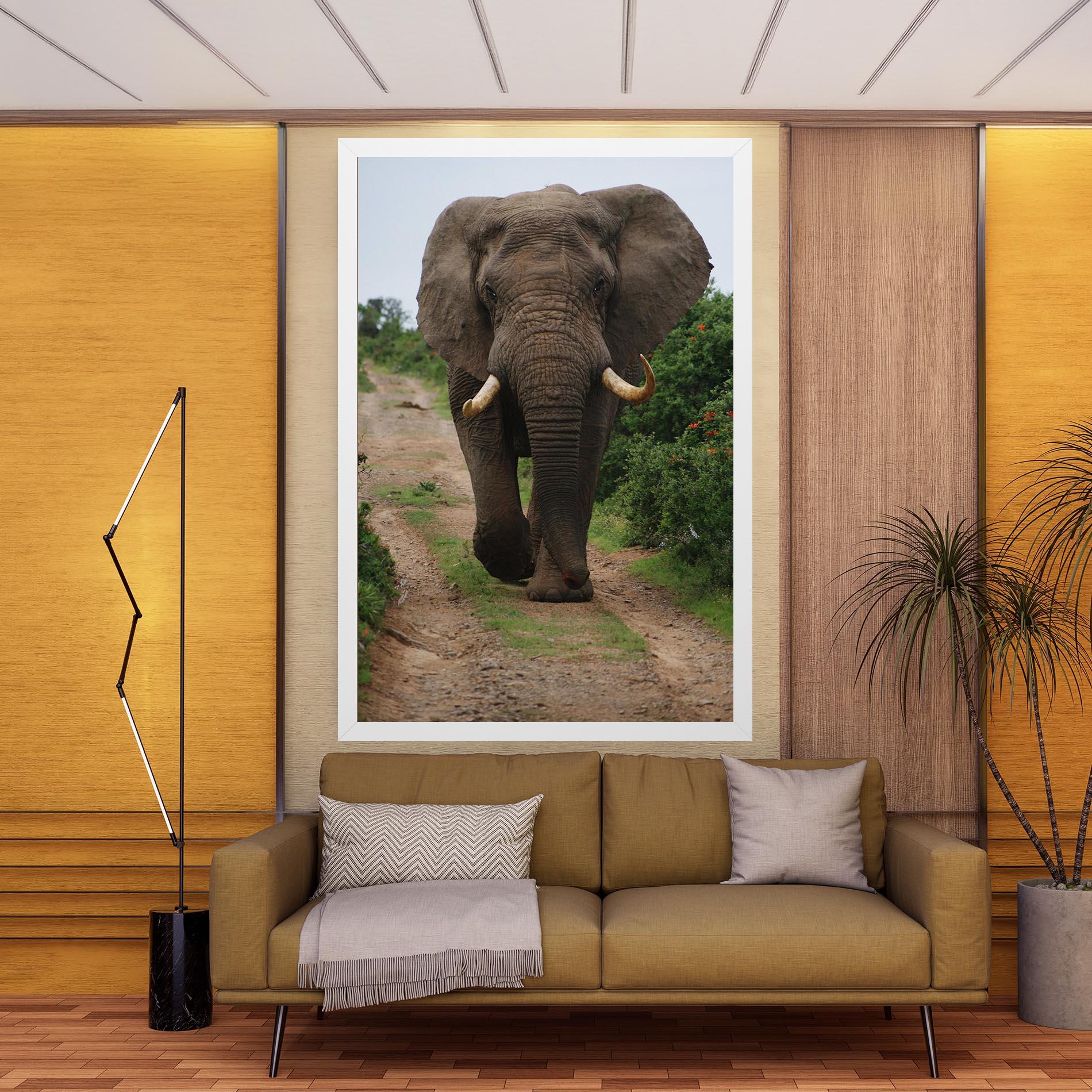 Vászonkép Elephant Safari mockup 9