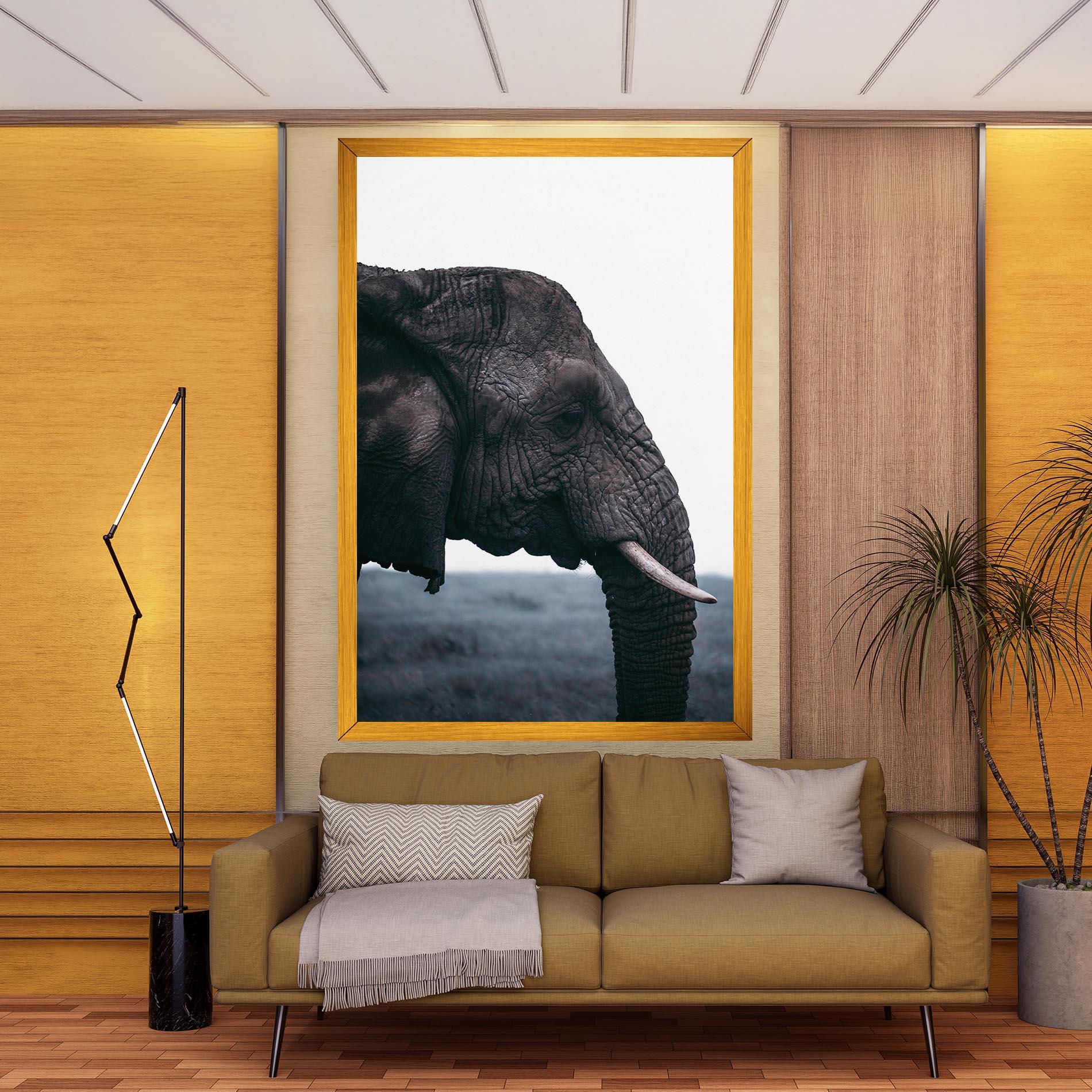Vászonkép Close Grey Eelephant mockup 9