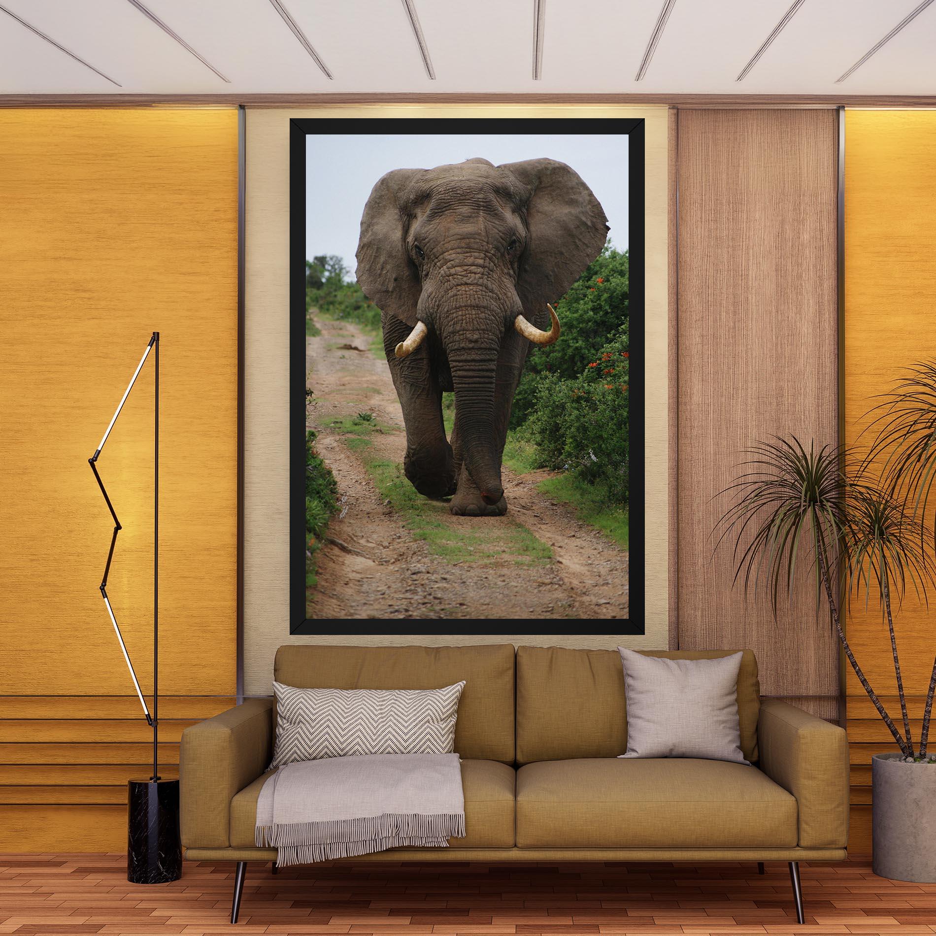 Vászonkép Elephant Safari mockup 9